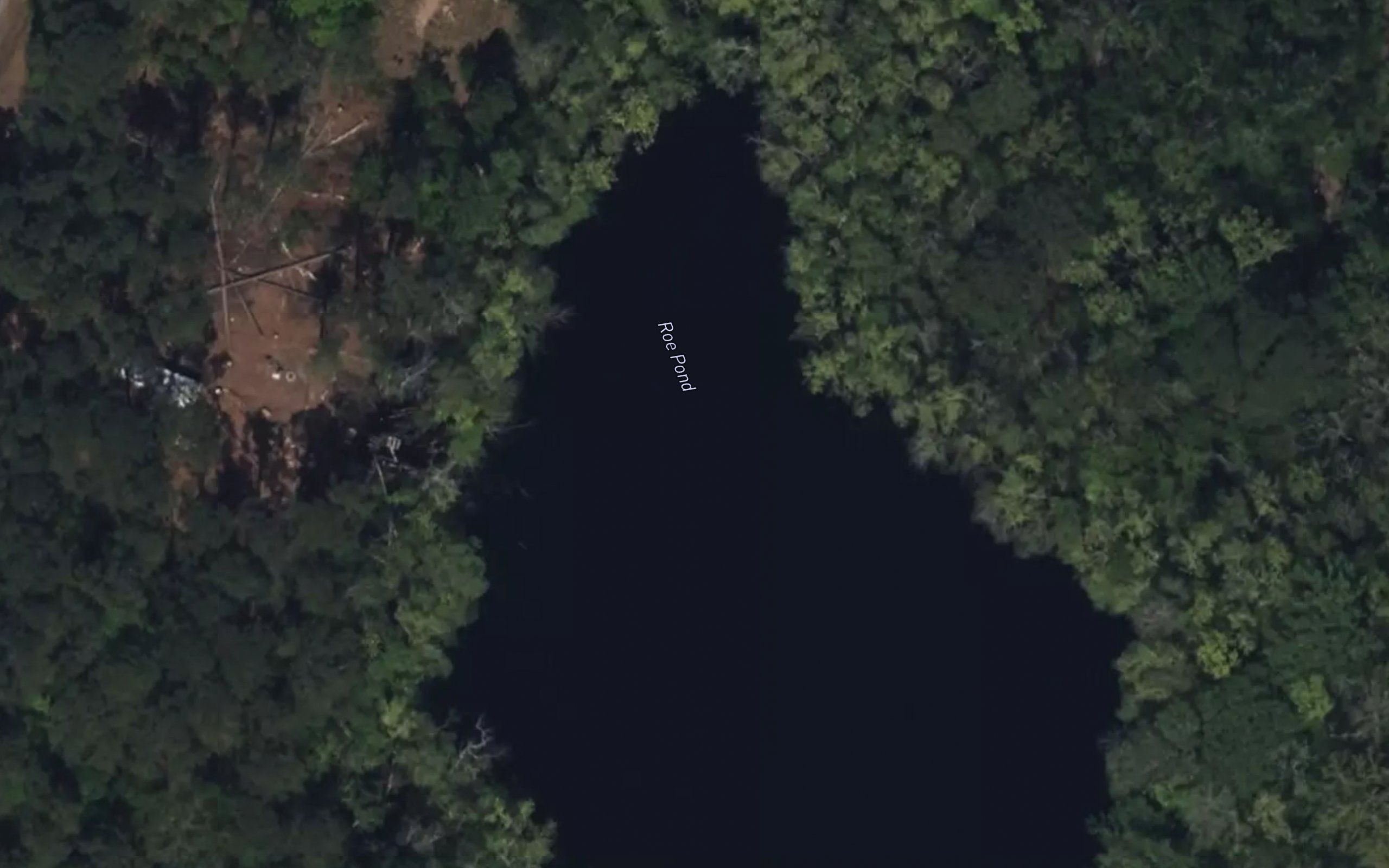 Roe Pond
