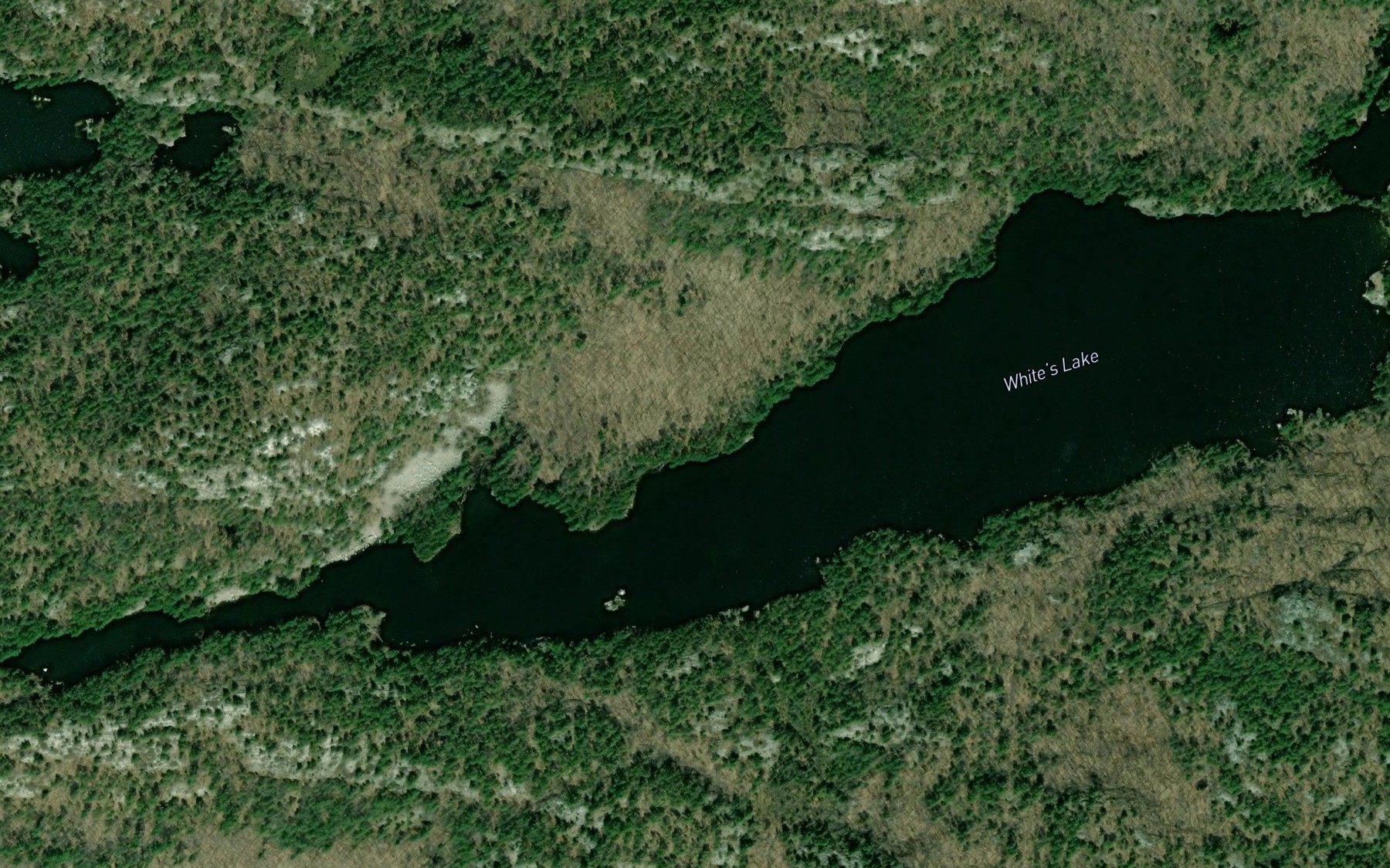 Satellite map of the White's Lake