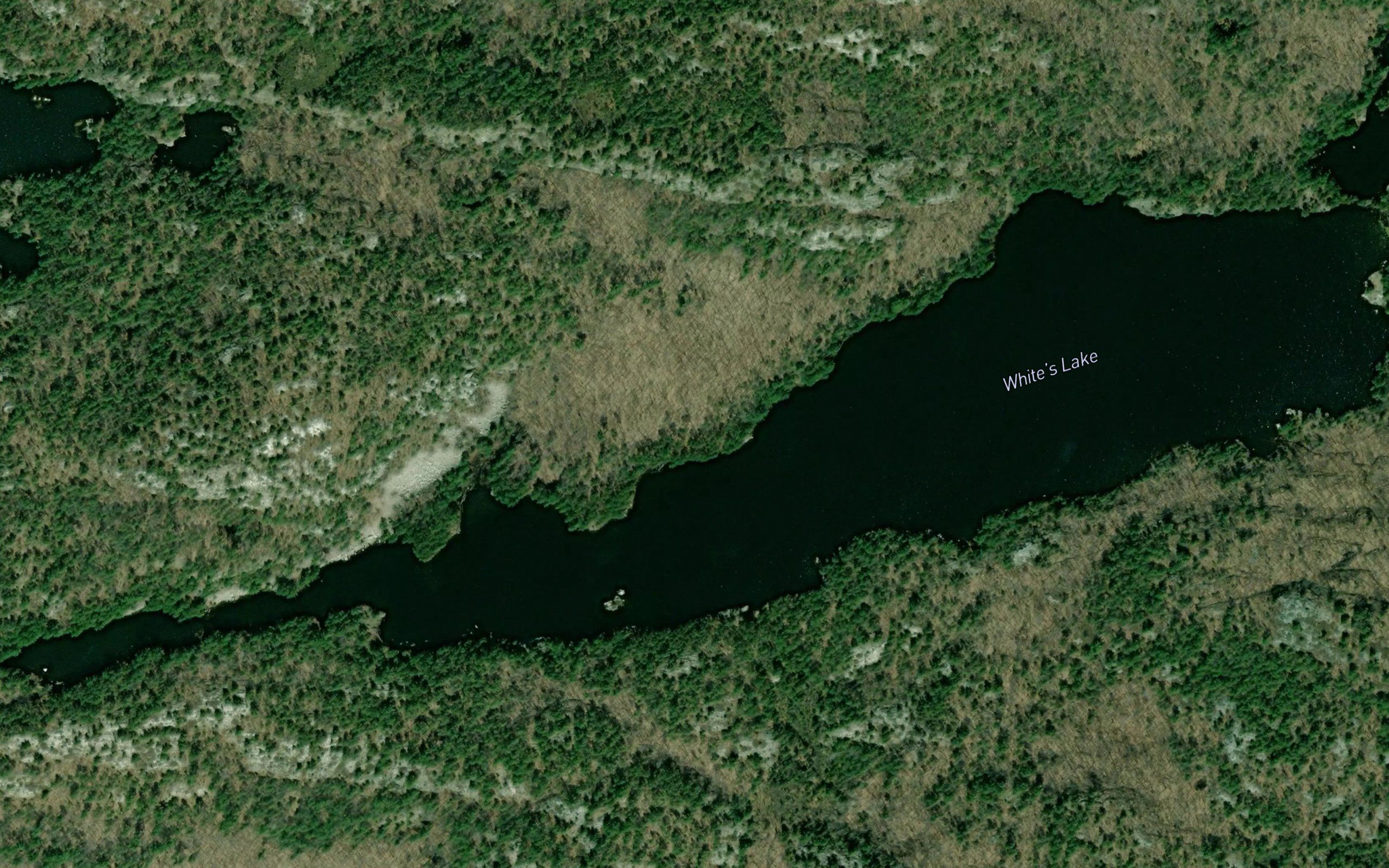 White's Lake