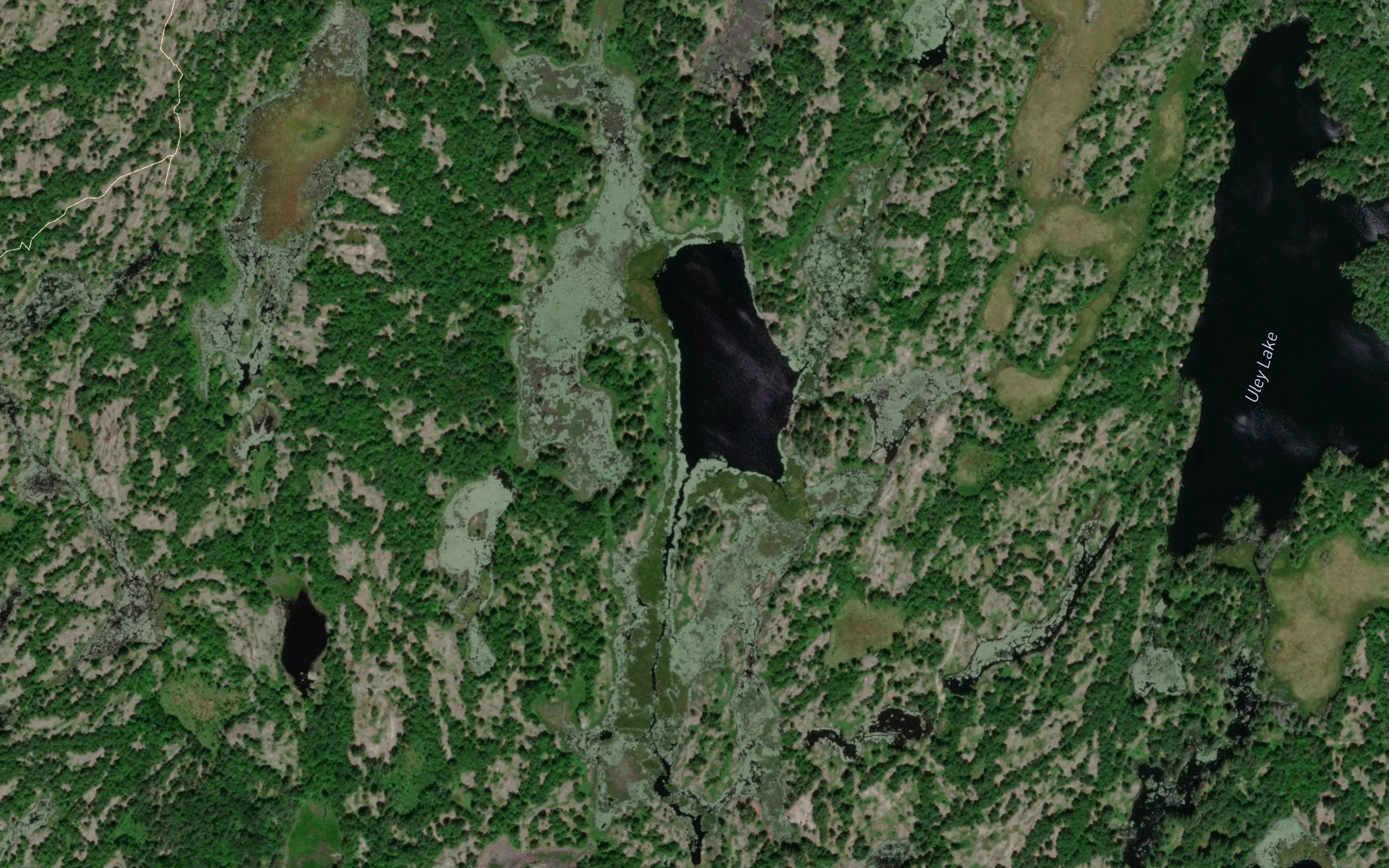 Deer Lake