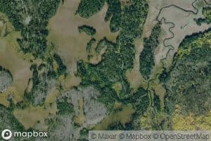Beaverdam Creek