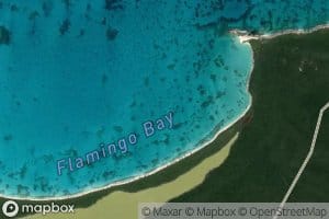 Flamingo Bay