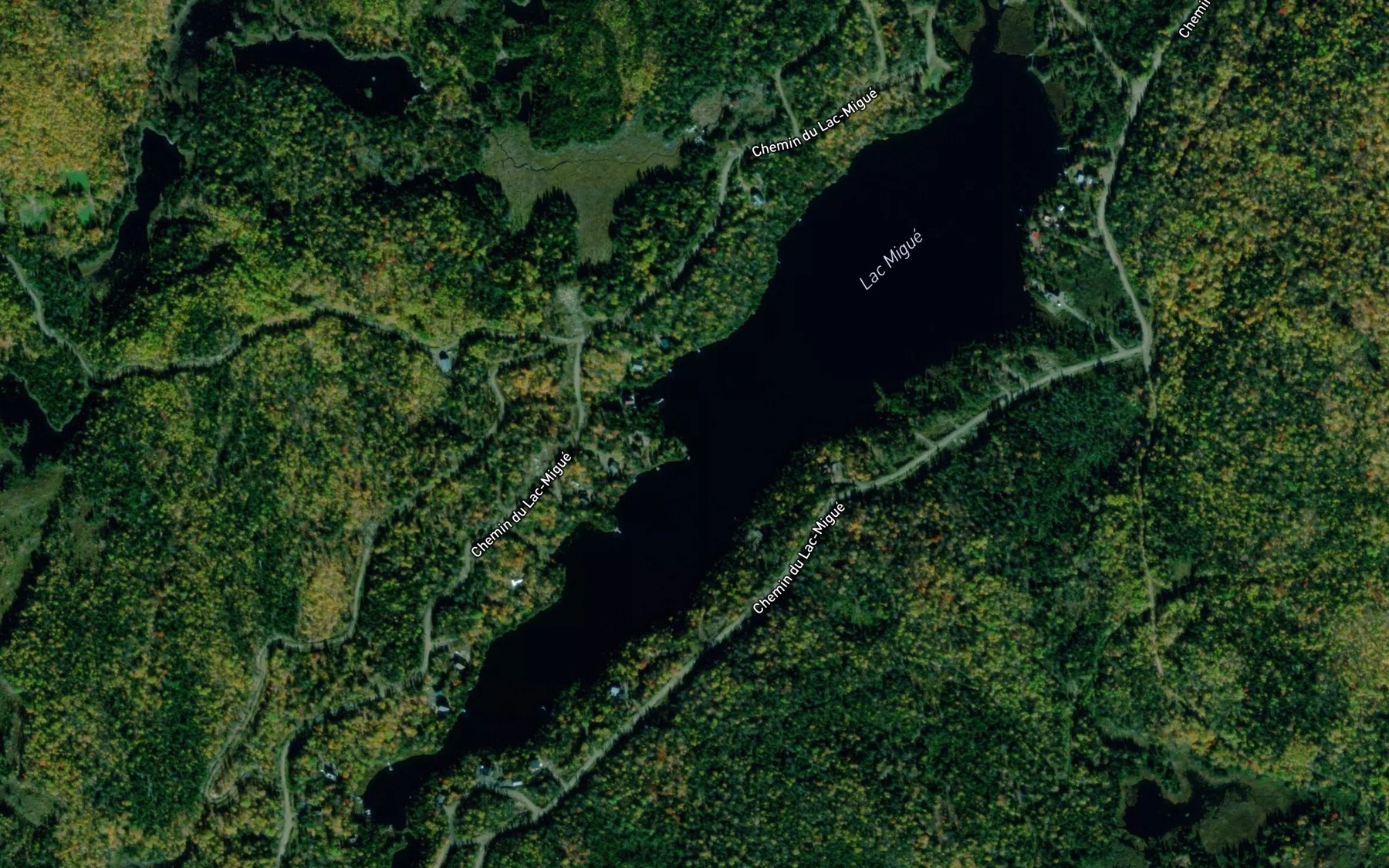 Satellite map of the Lac Migue