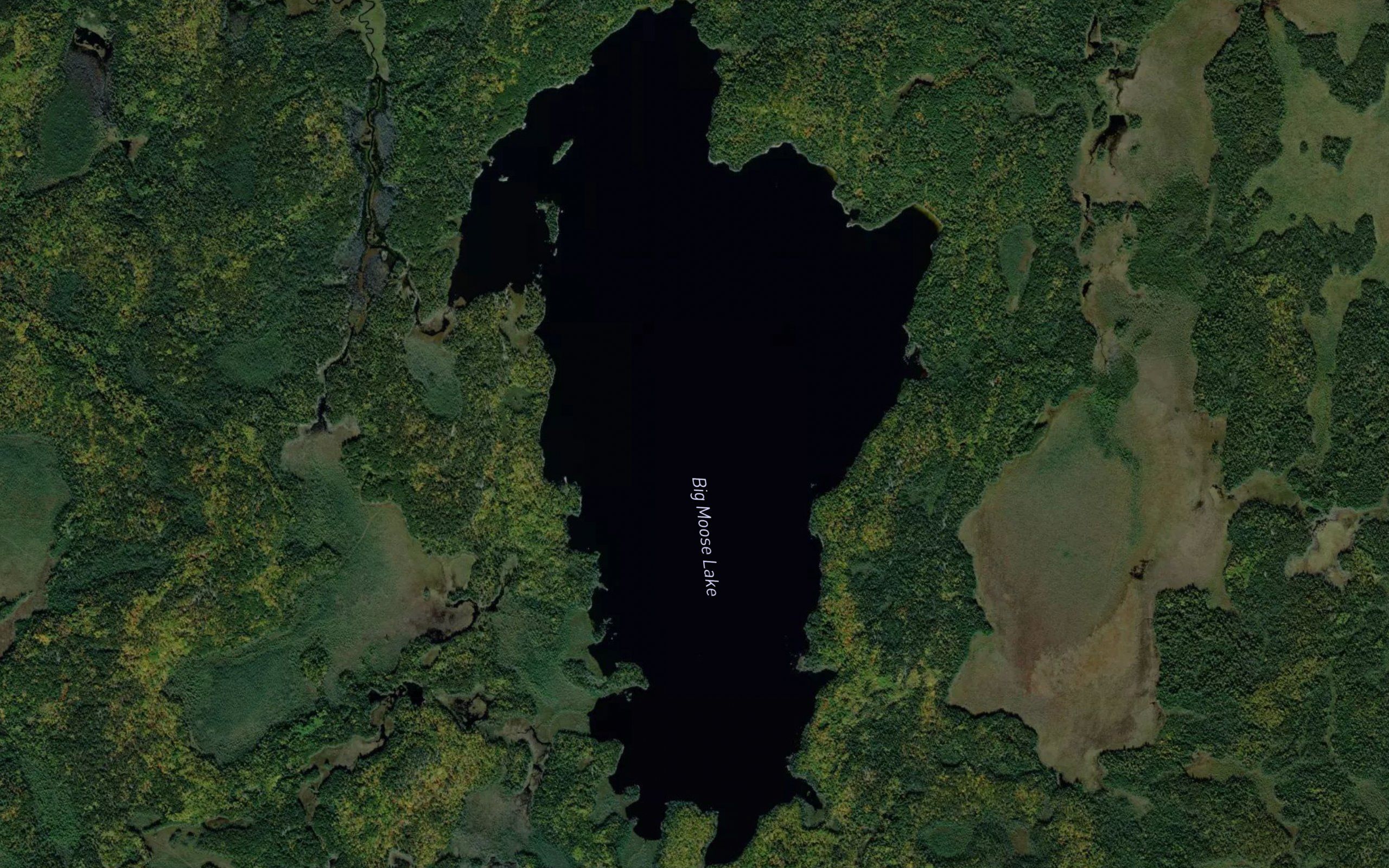 Big Moose Lake