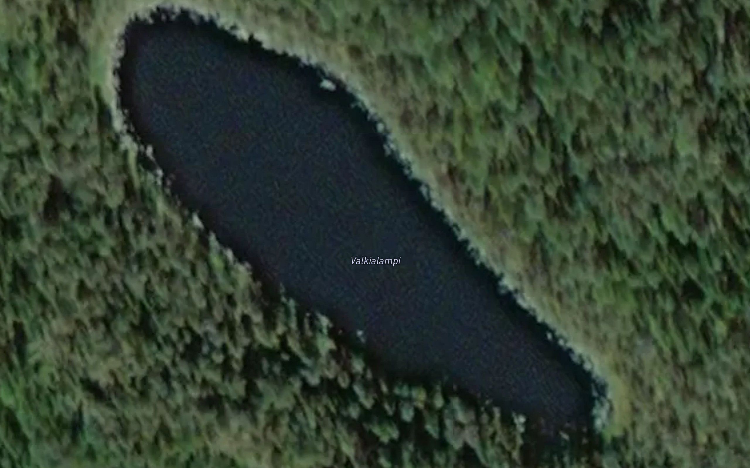 Valkialampi