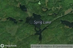 Sprig Lake