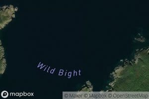 Wild Bight