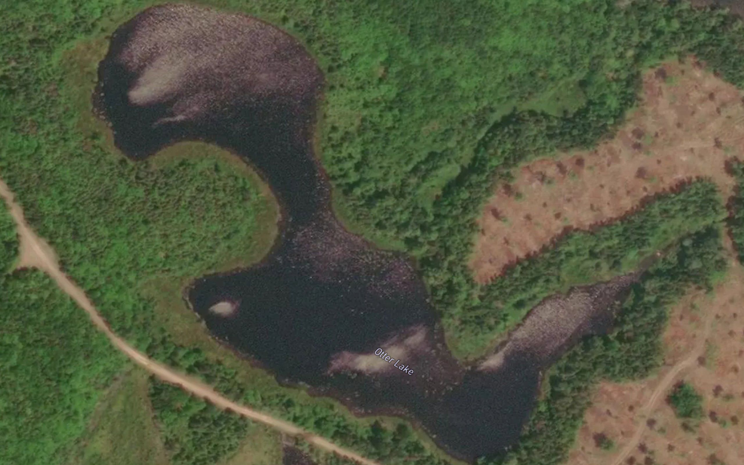 Otter Lake