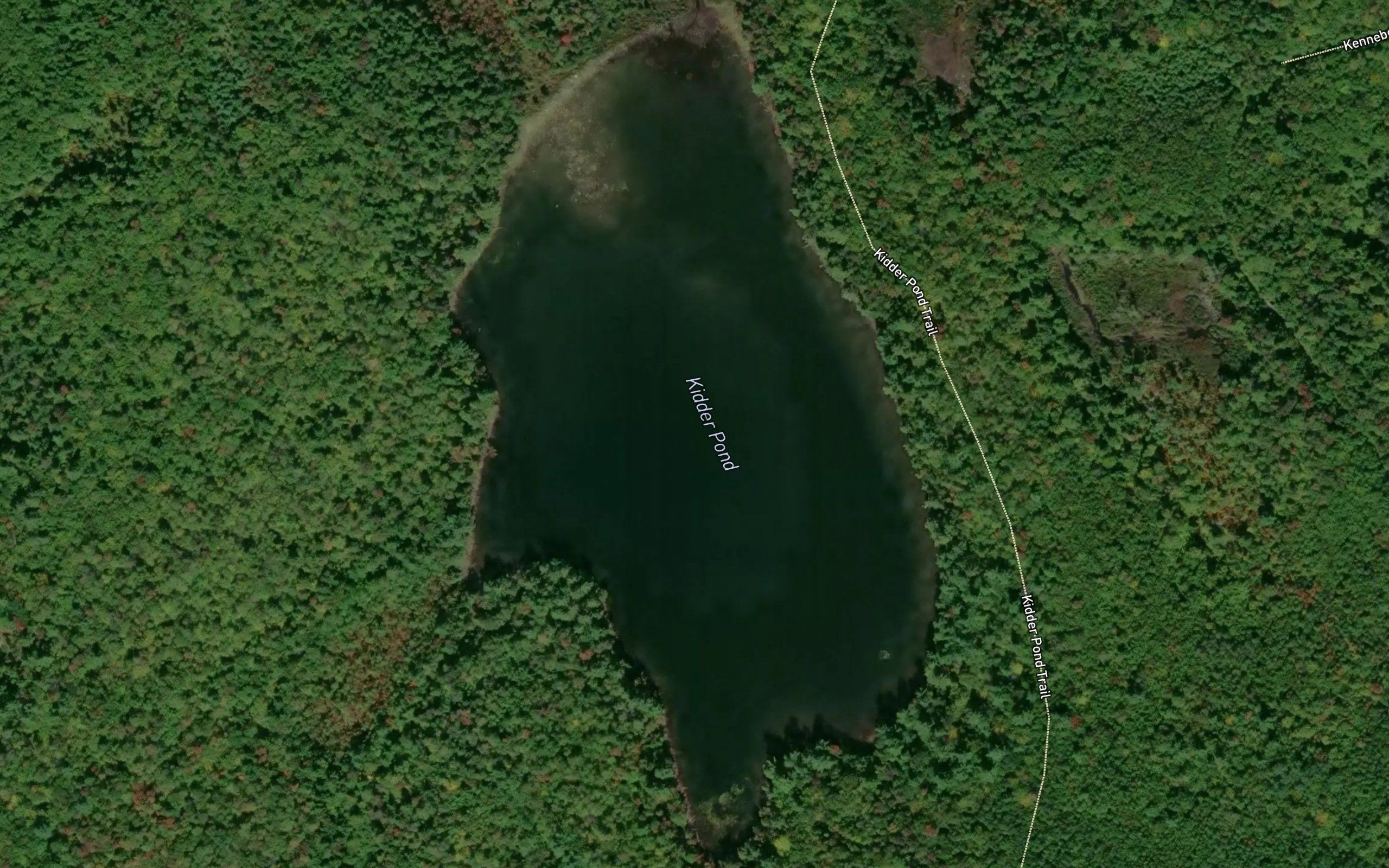 Kidder Pond
