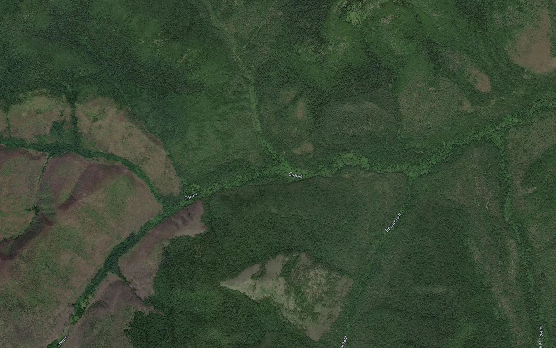 Satellite map of the Razvetvlennyy