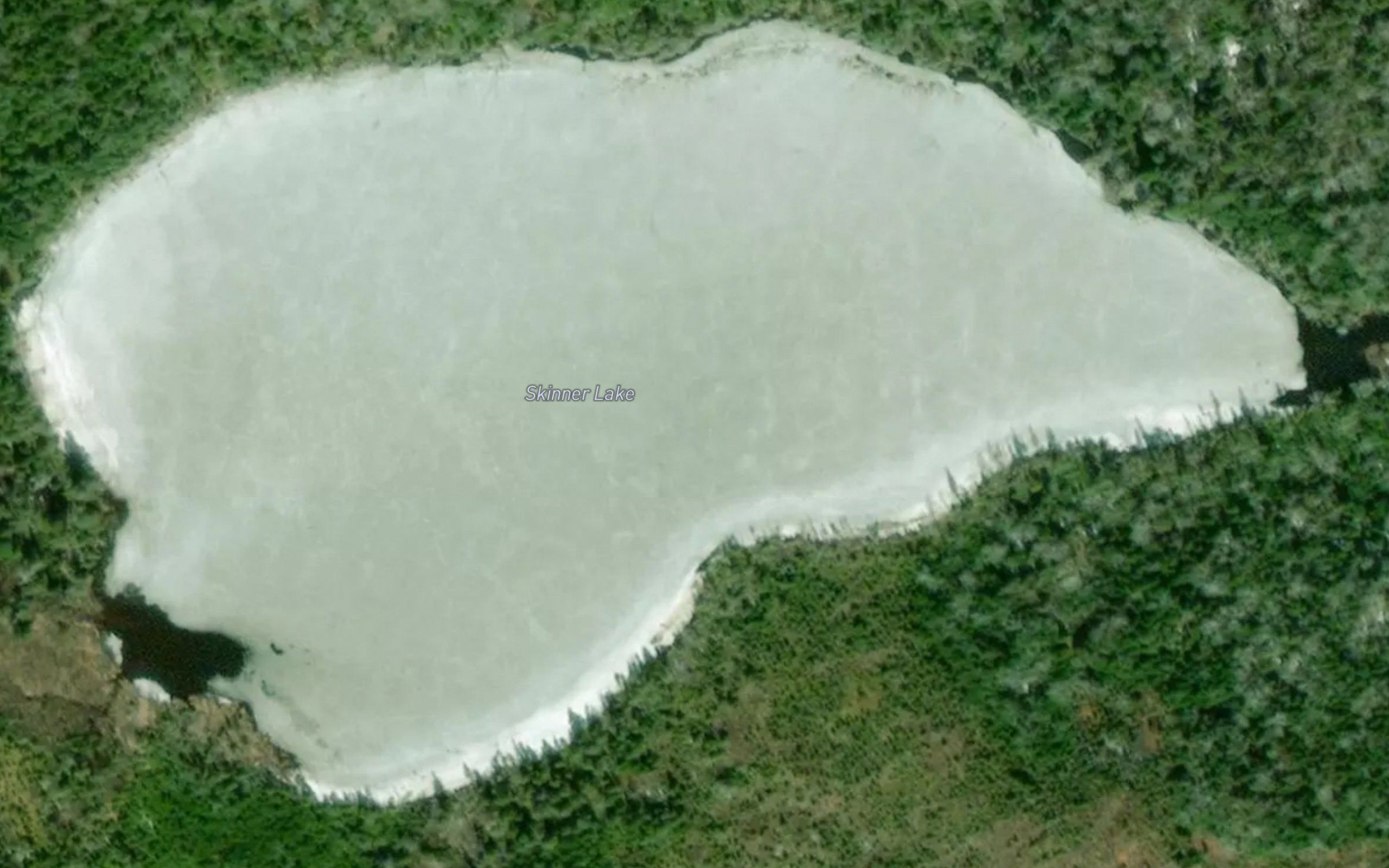Skinner Lake