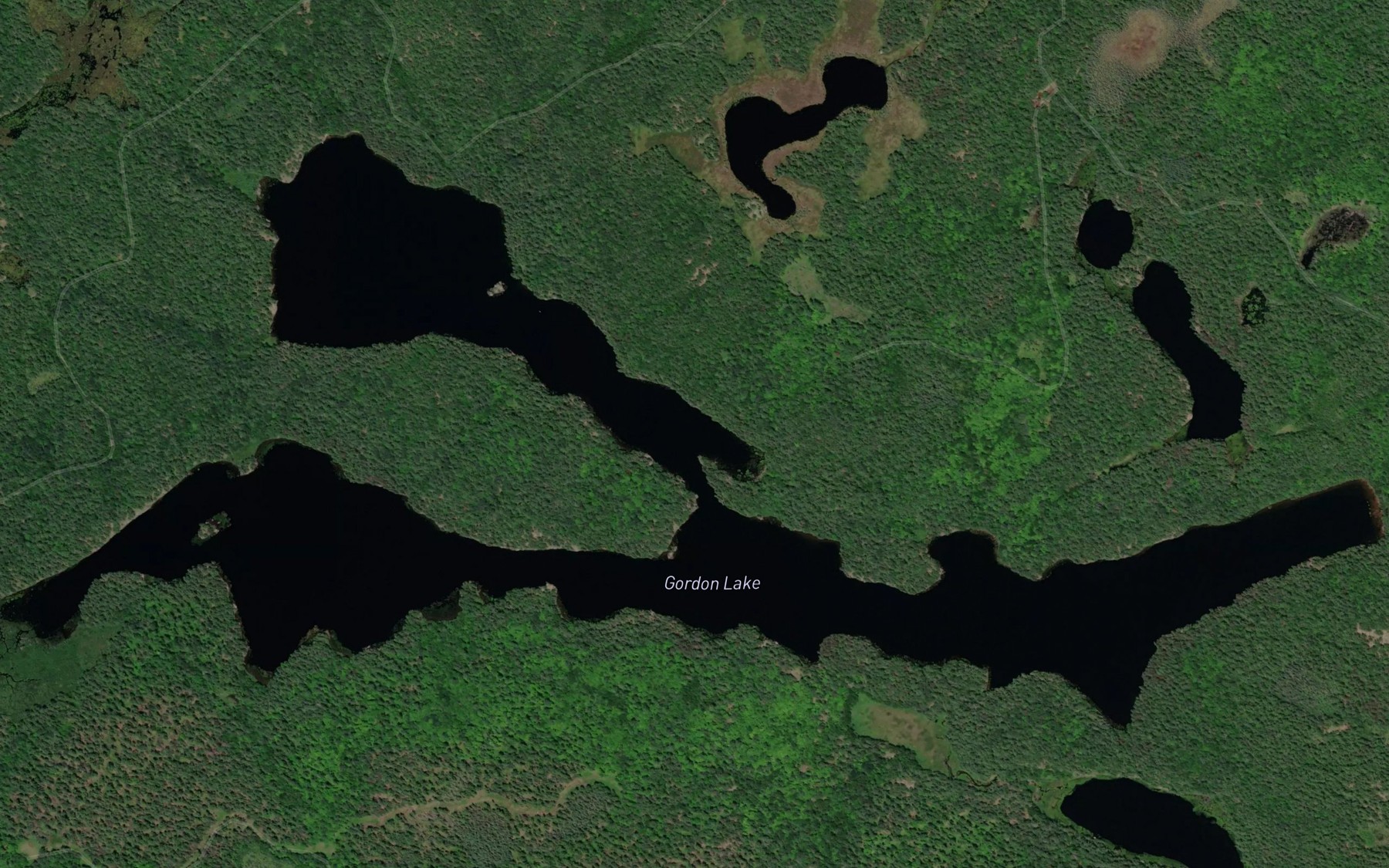 Satellite map of the Gordon Lake