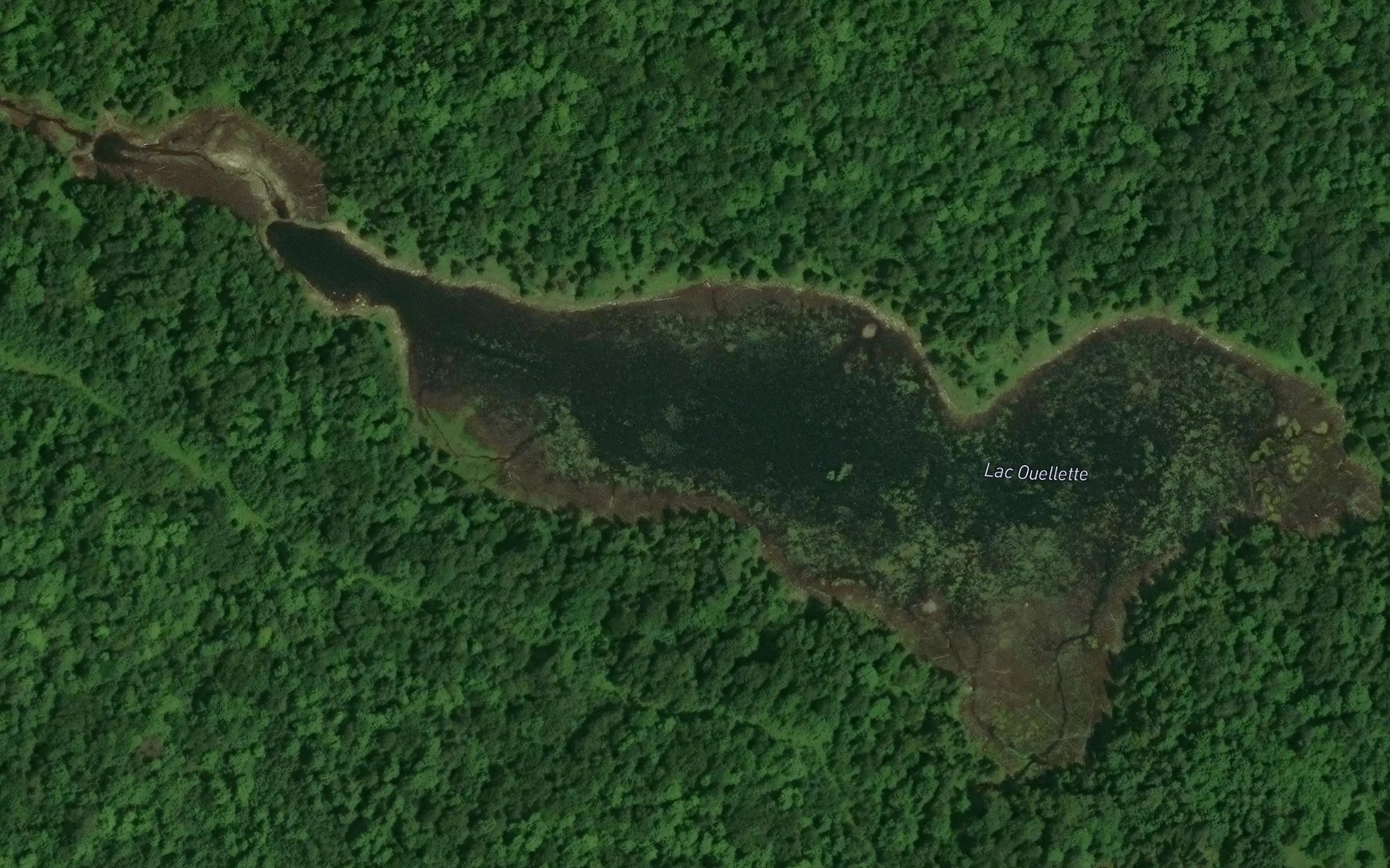 Satellite map of the Lac Ouellette