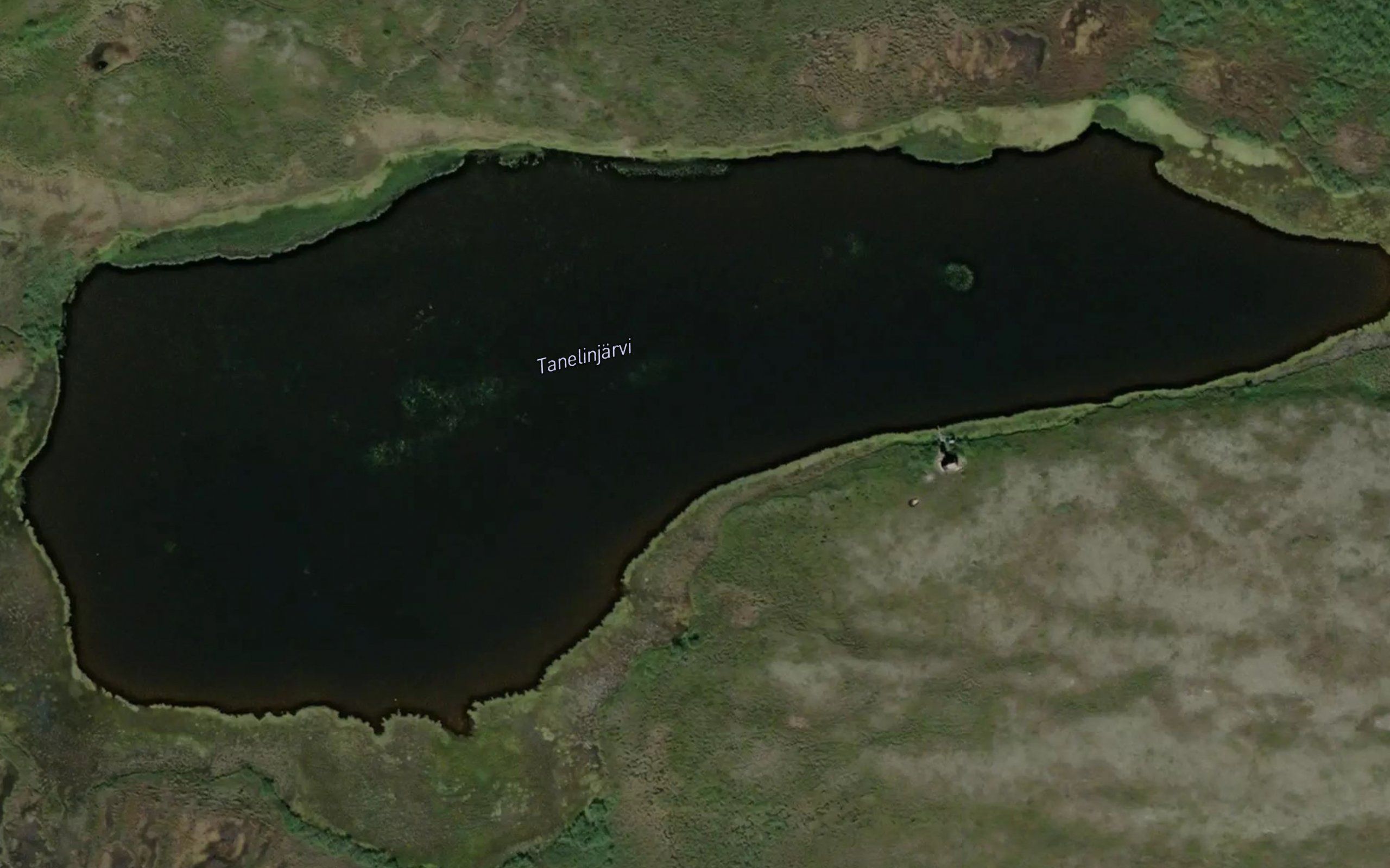 Danelinjaervi