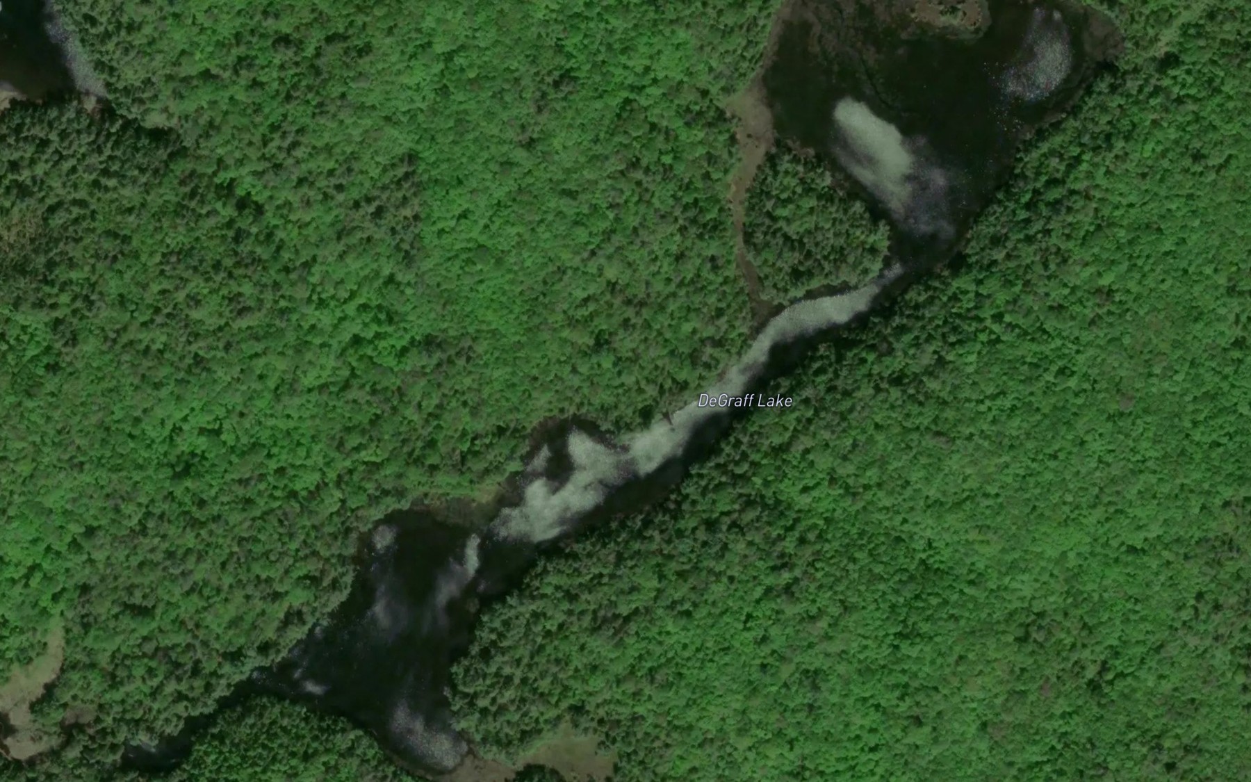 Satellite map of the DeGraff Lake