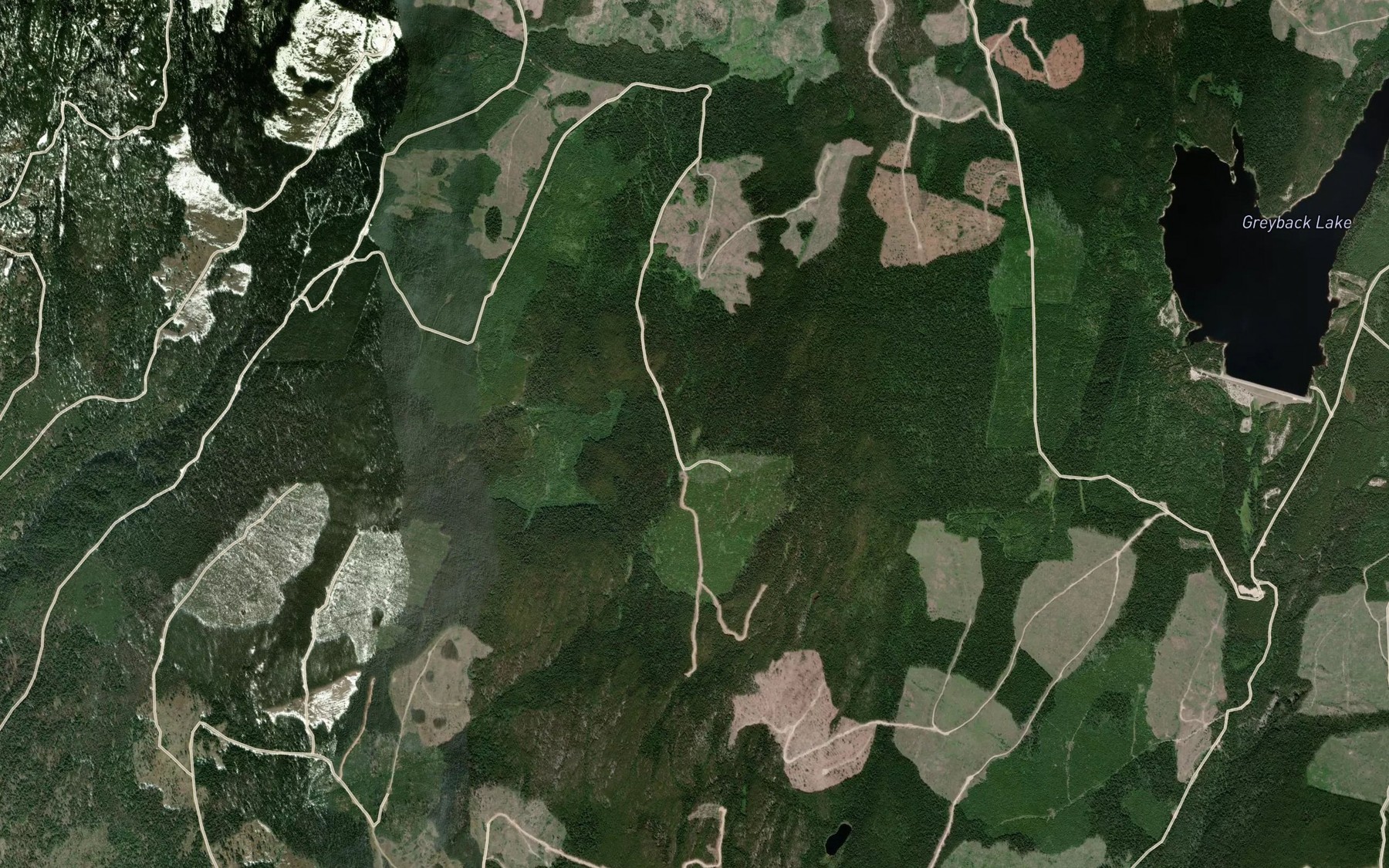 Satellite map of the Turnbull Lake