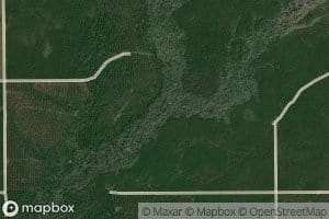 Bear Head Marsh
