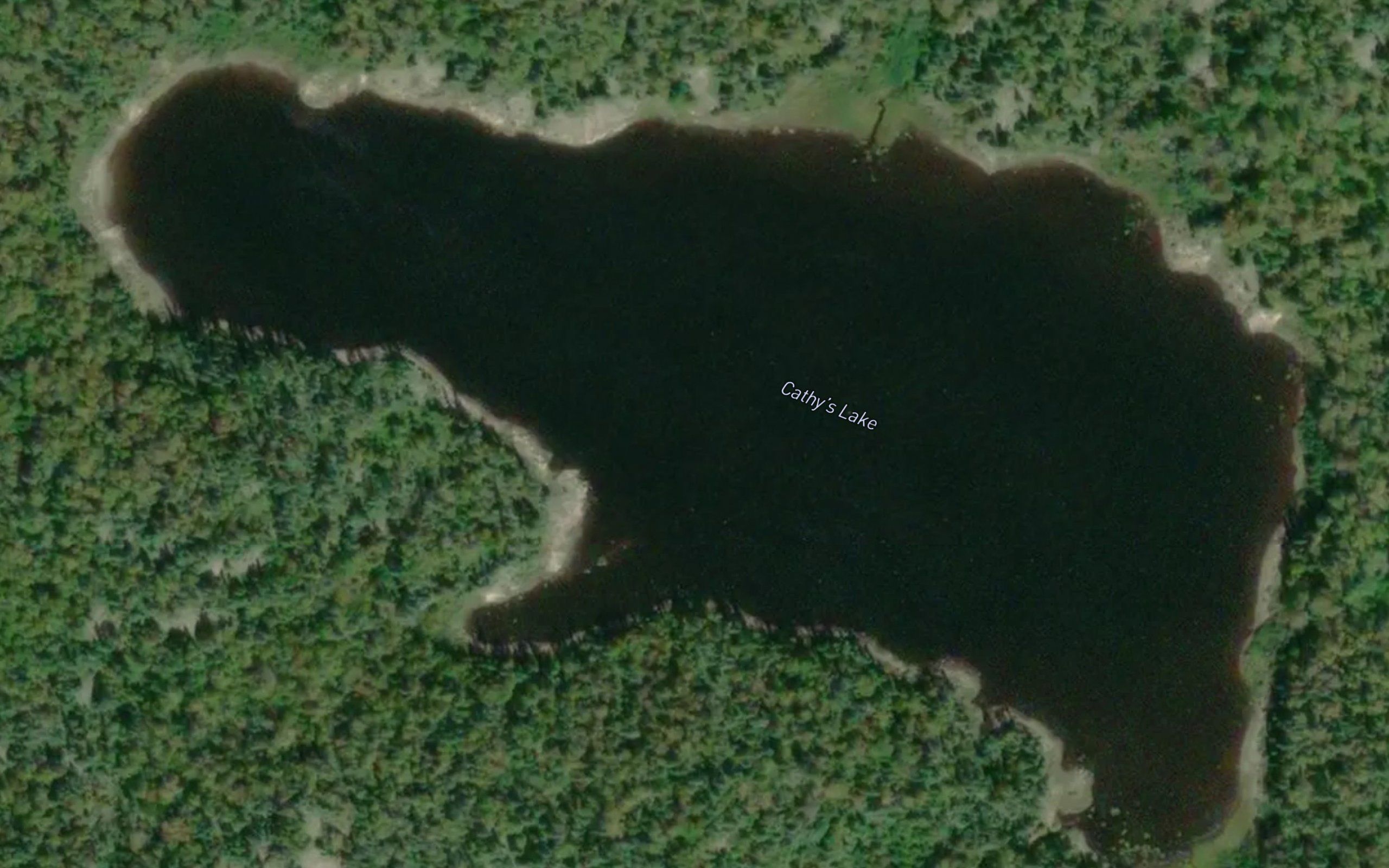 Cathy's Lake