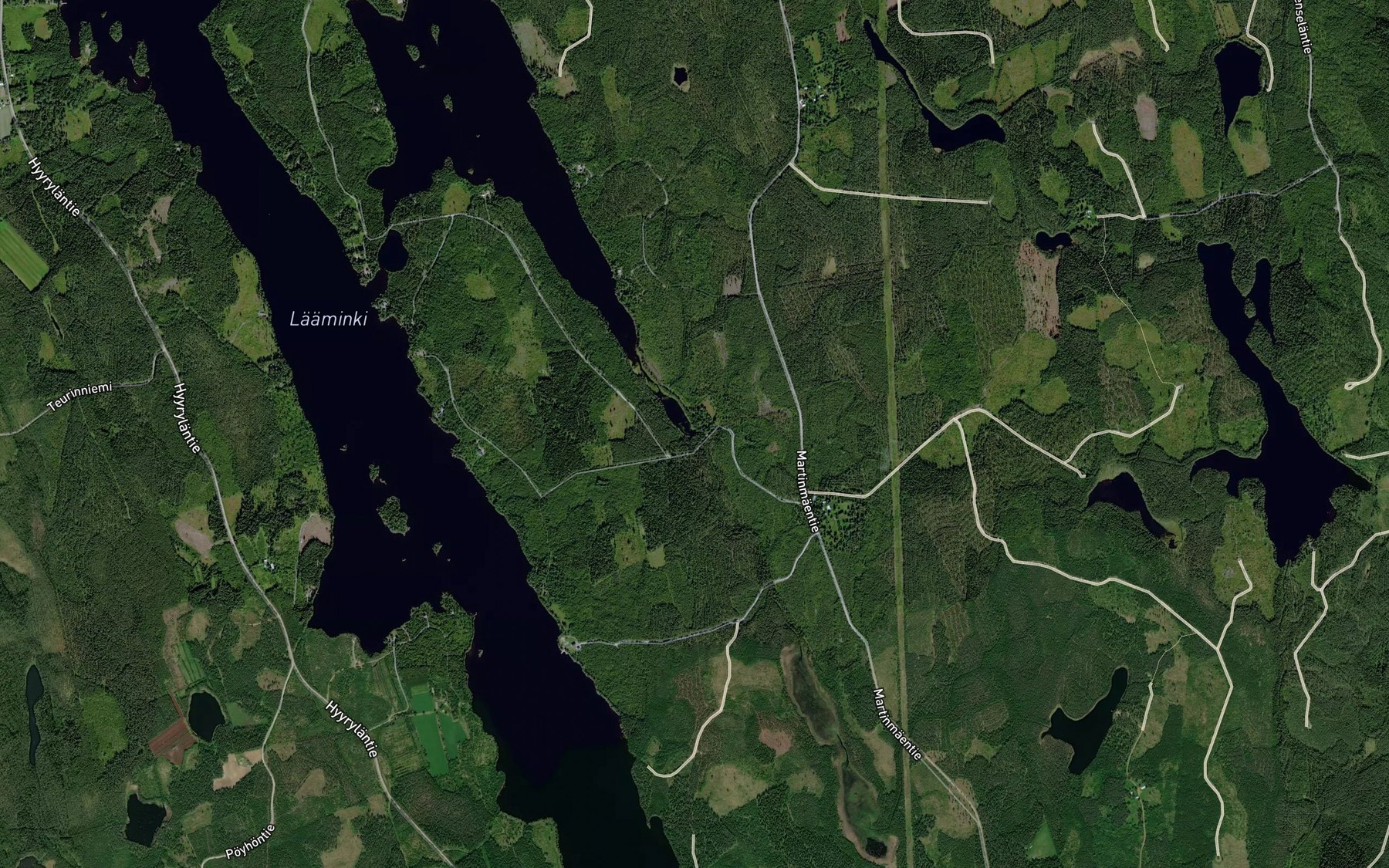 Satellite map of the Viitajoki