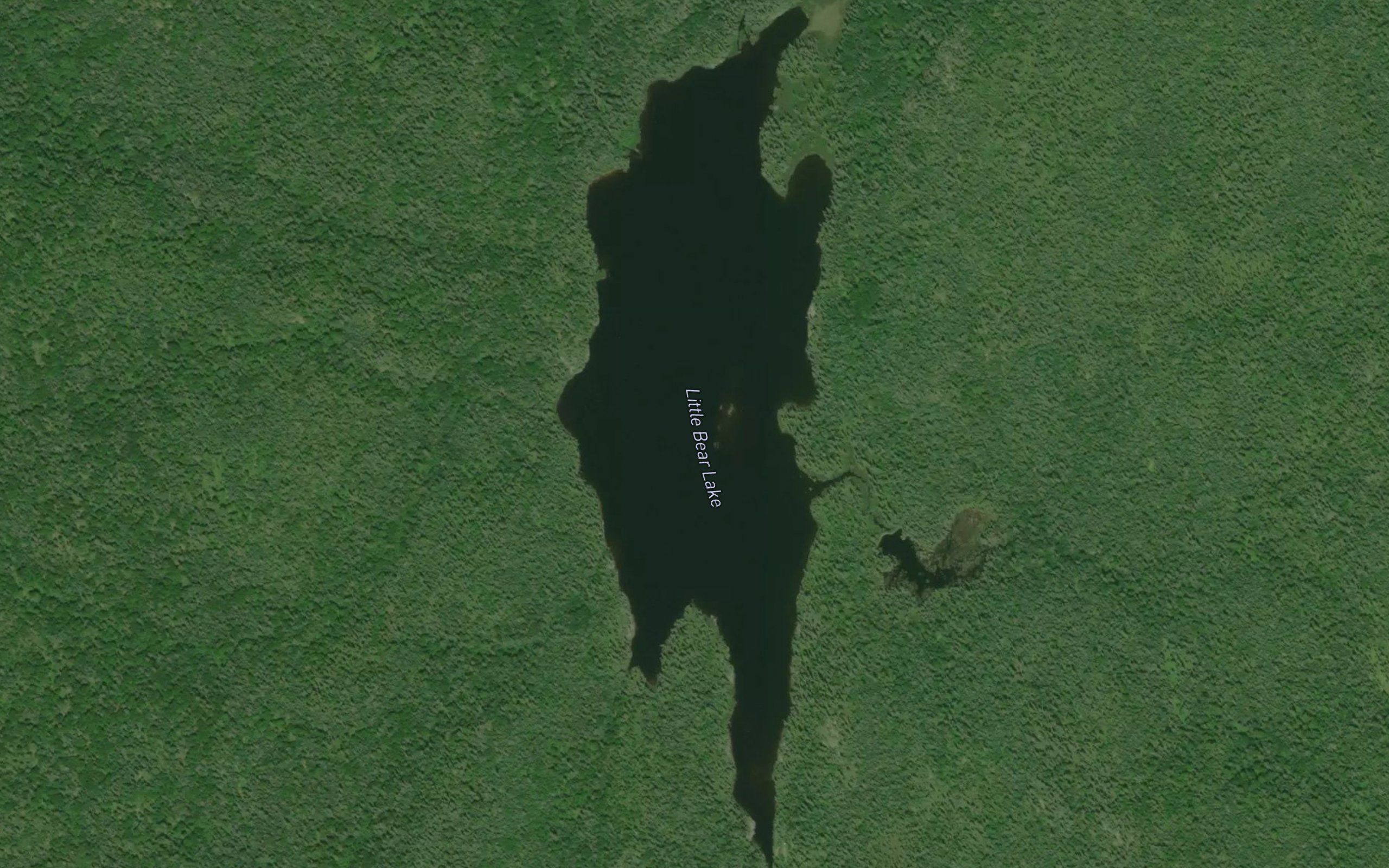 Little Bear Lake