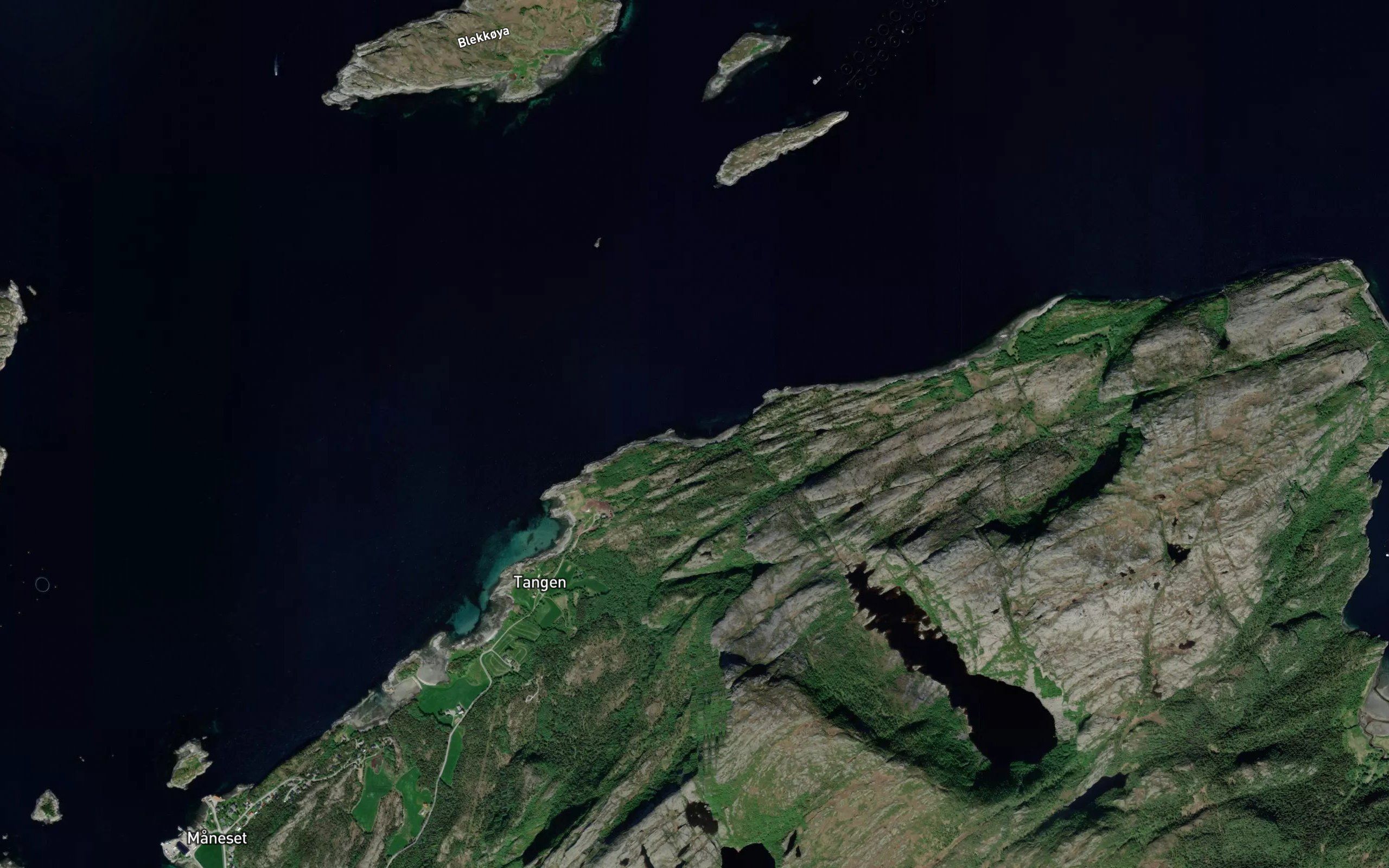 Steinvika