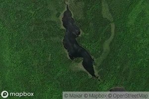 Swampy Lake