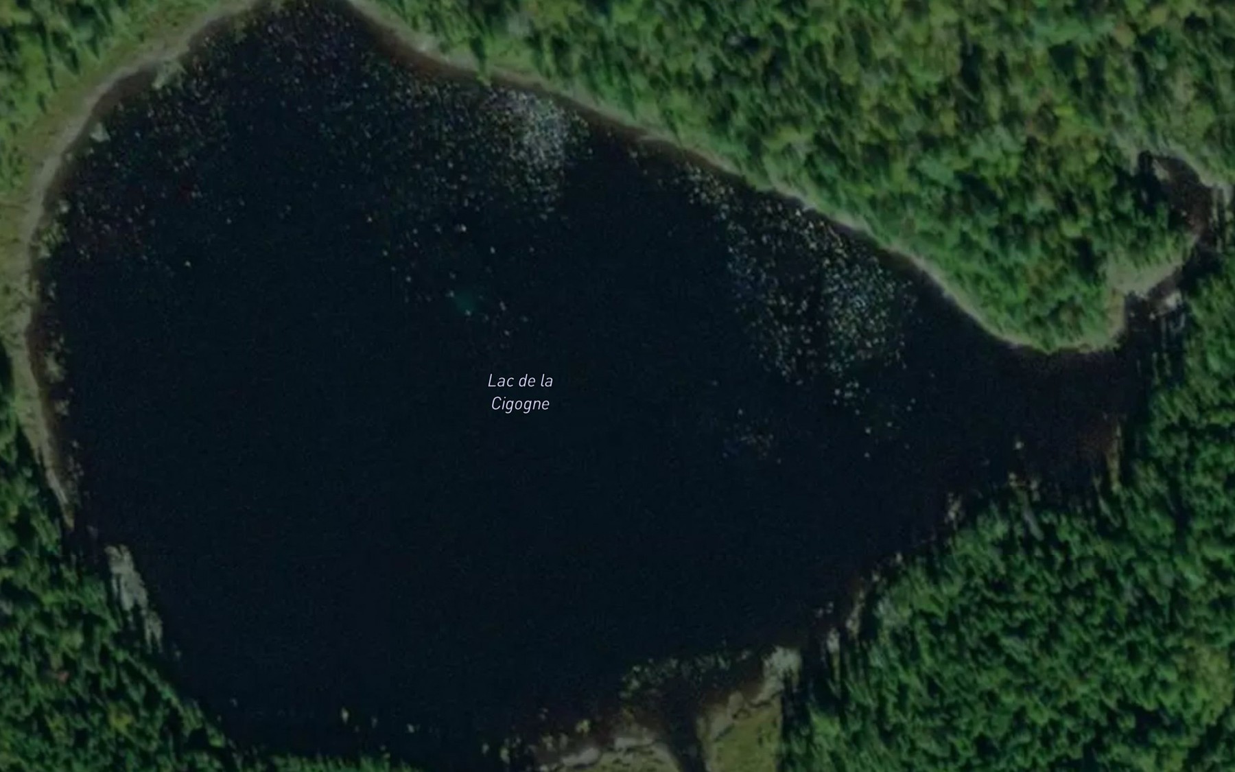 Satellite map of the Lac de la Cigogne