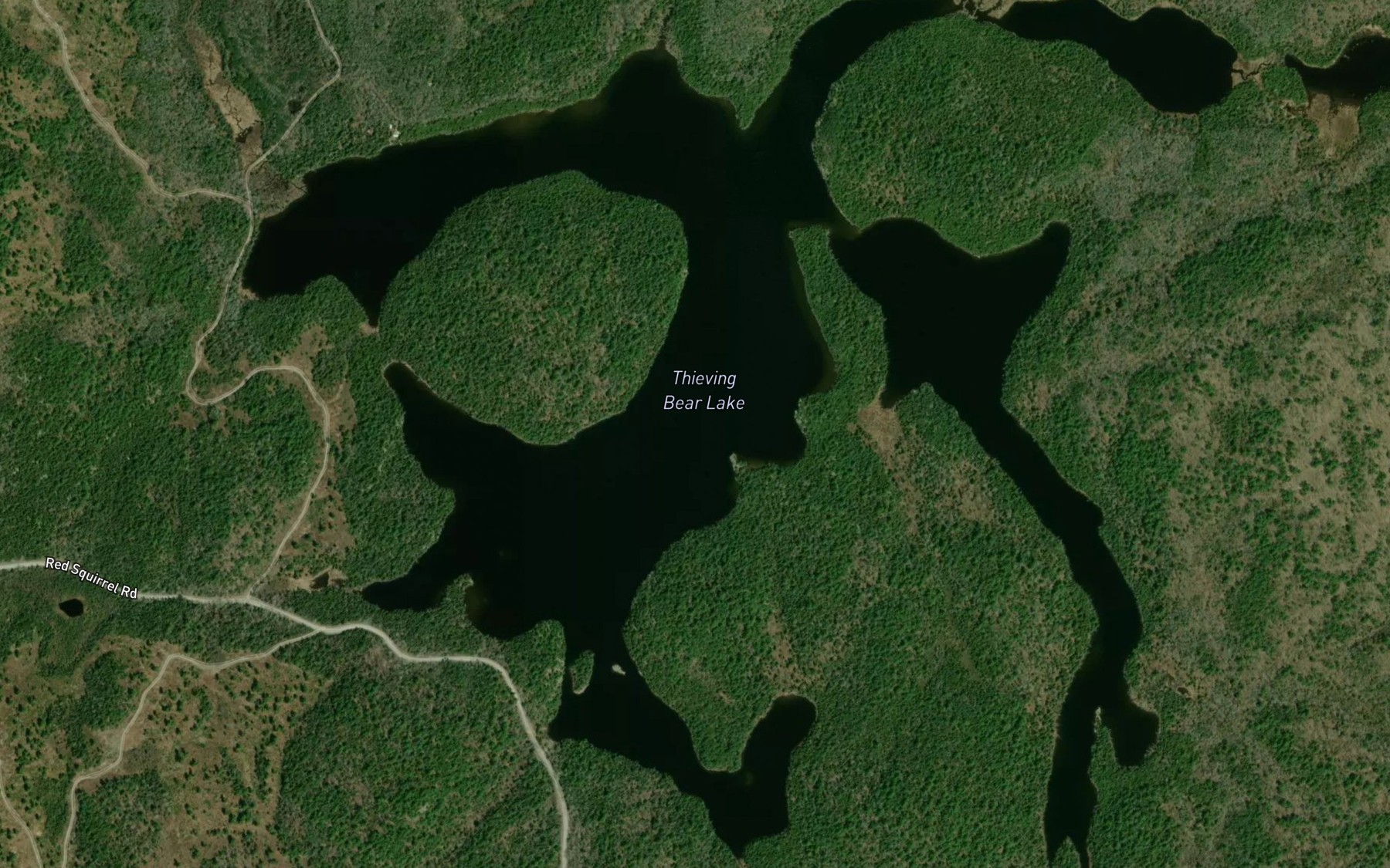 Satellite map of the Thieving Bear Lake