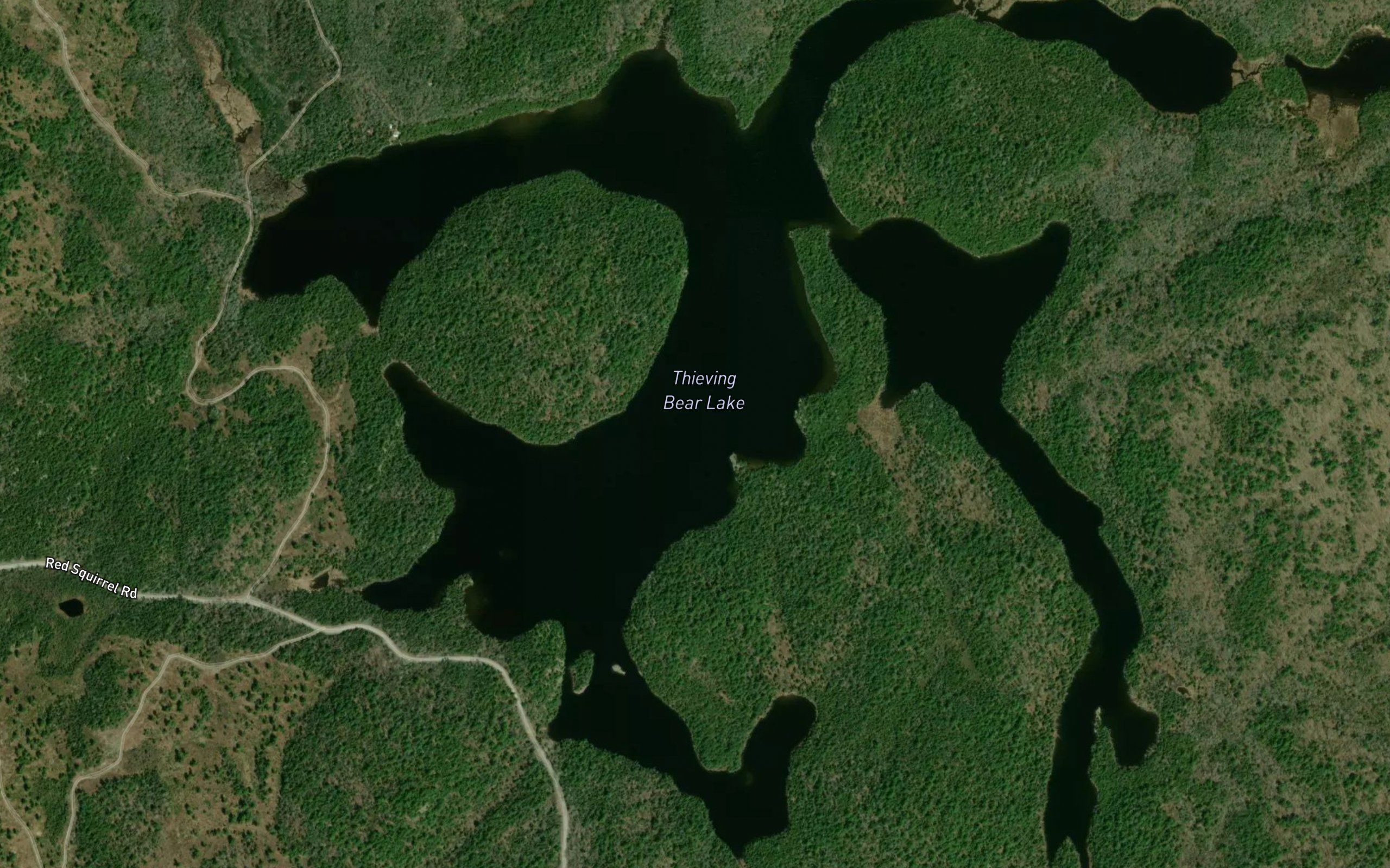Thieving Bear Lake