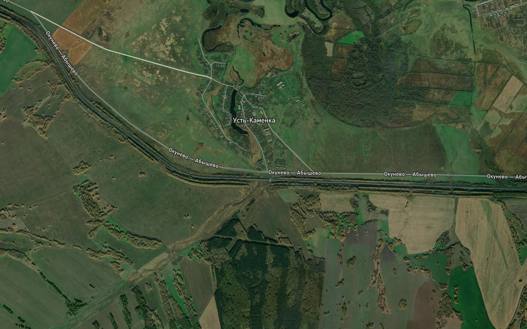 Satellite map of the Kamenka