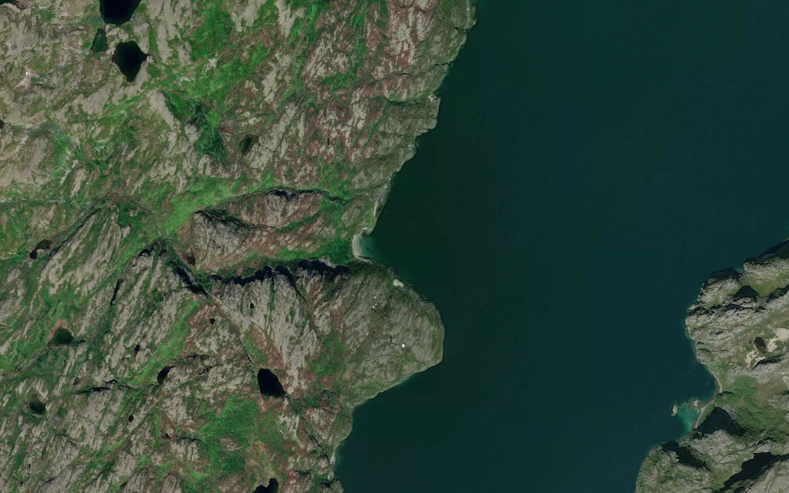 Reinvika