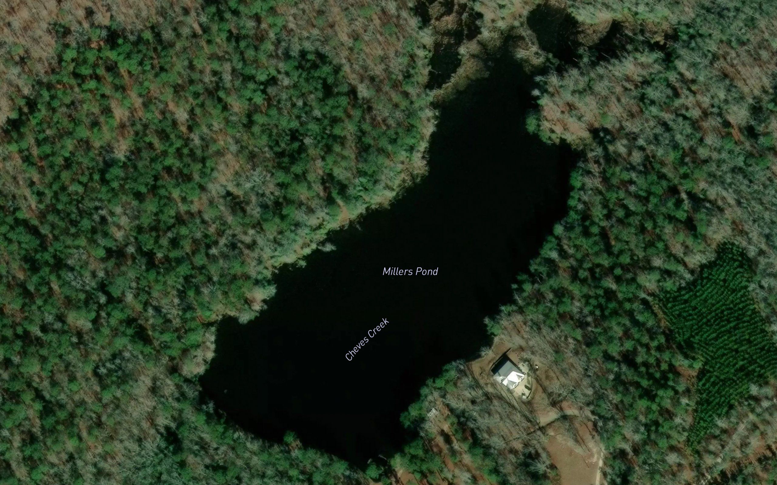 Millers Pond