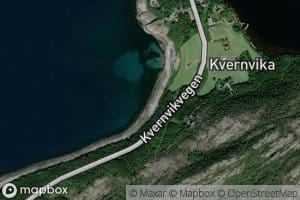 Kvennvika