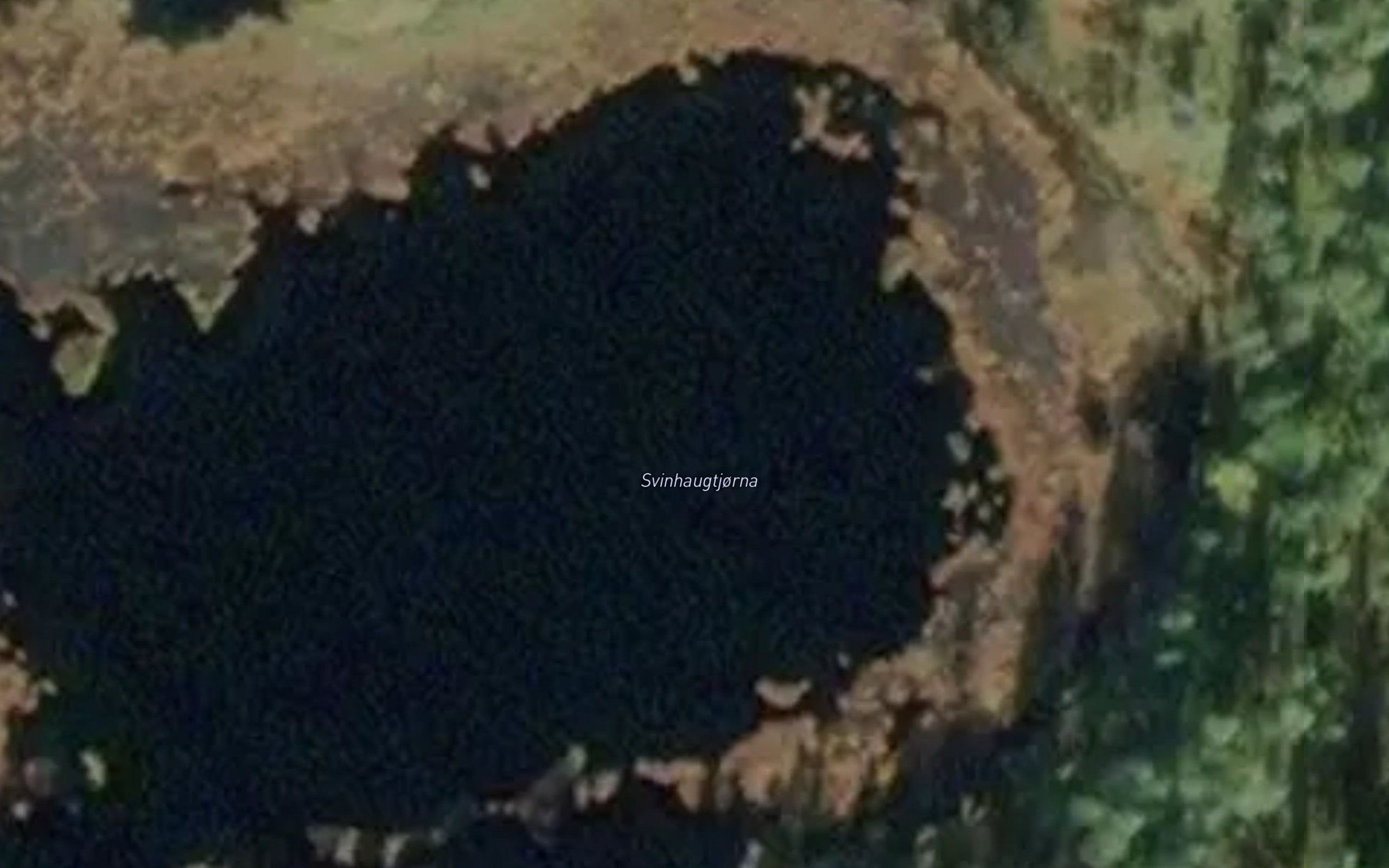 Svinhaugtjorna