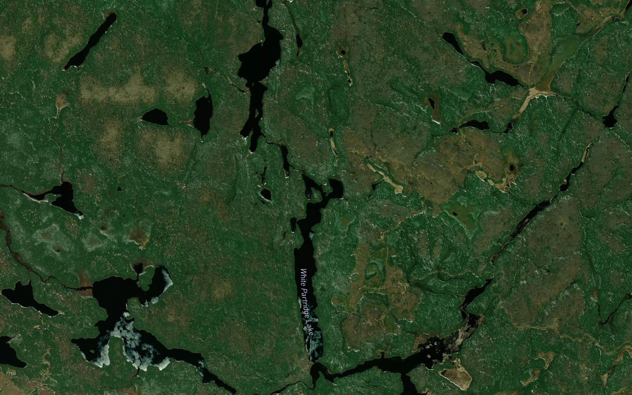 Pineclad Creek