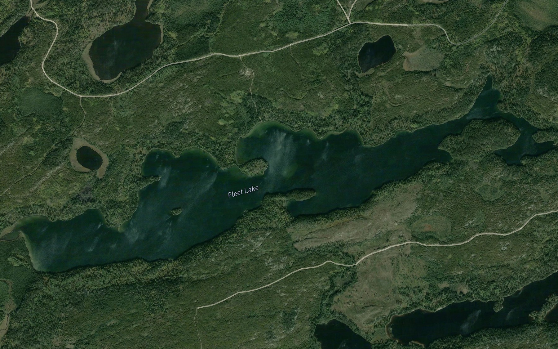 Satellite map of the Fleet Lake