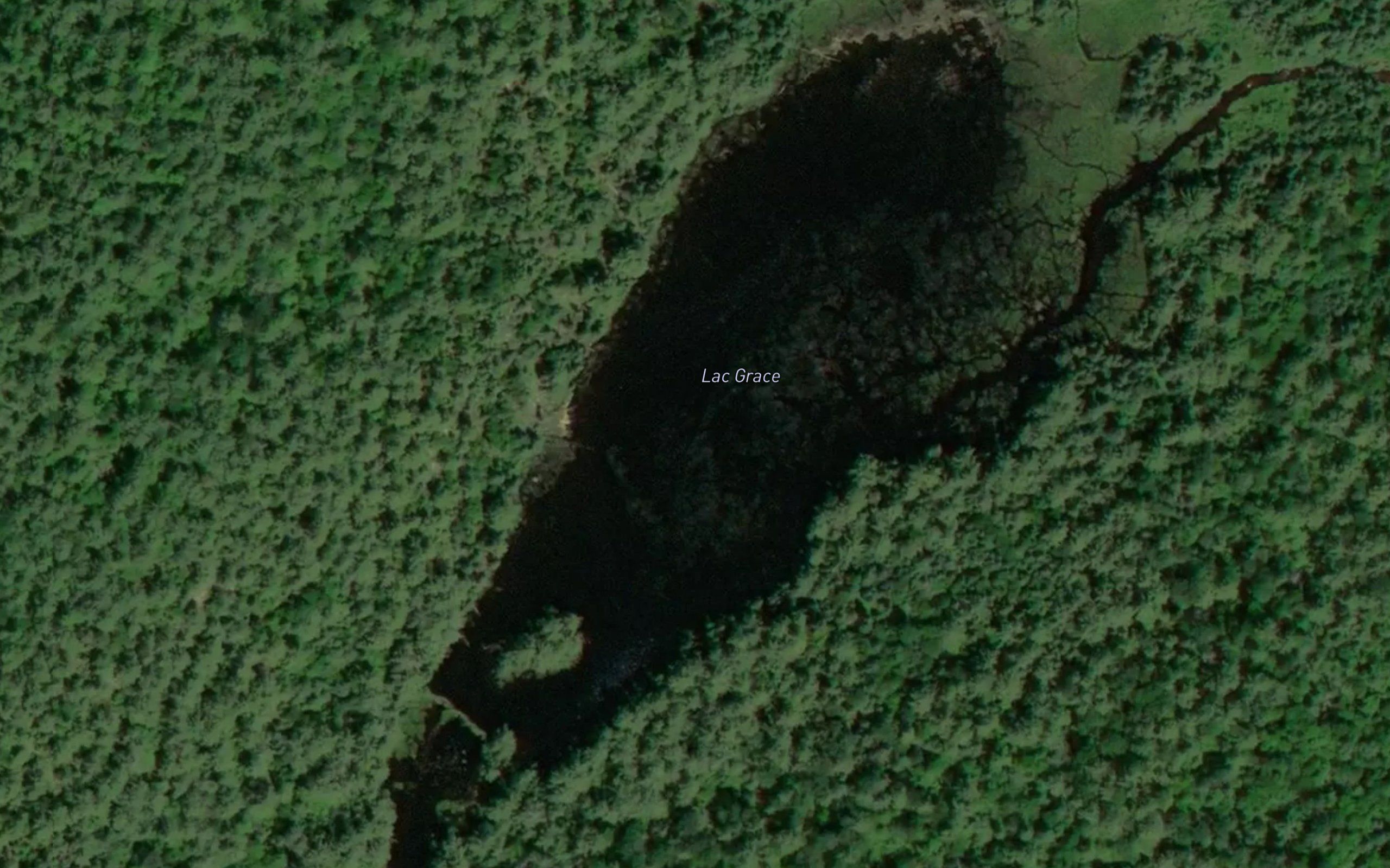 Lac Grace
