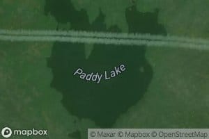 Paddy Lake