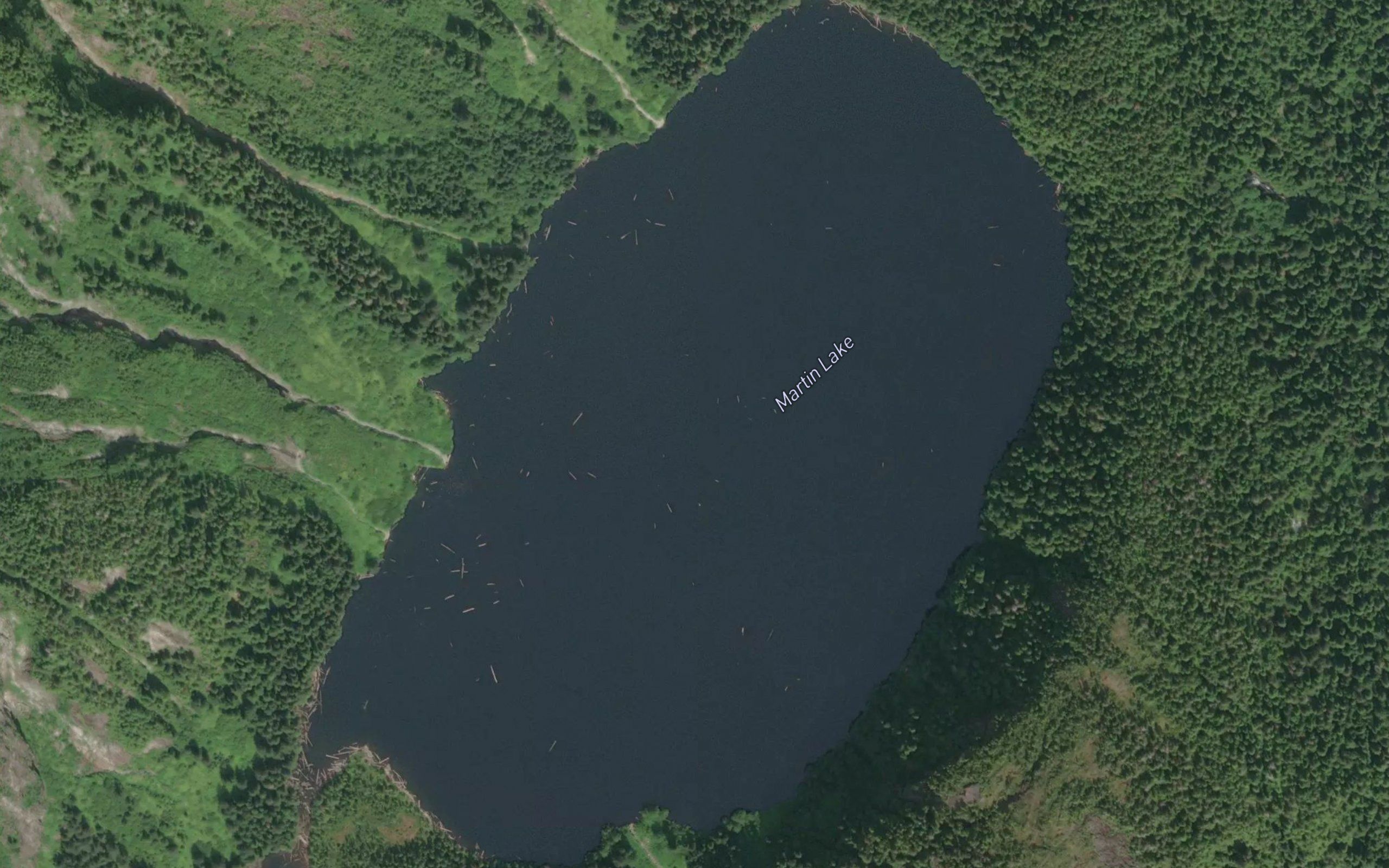 Martin Lake