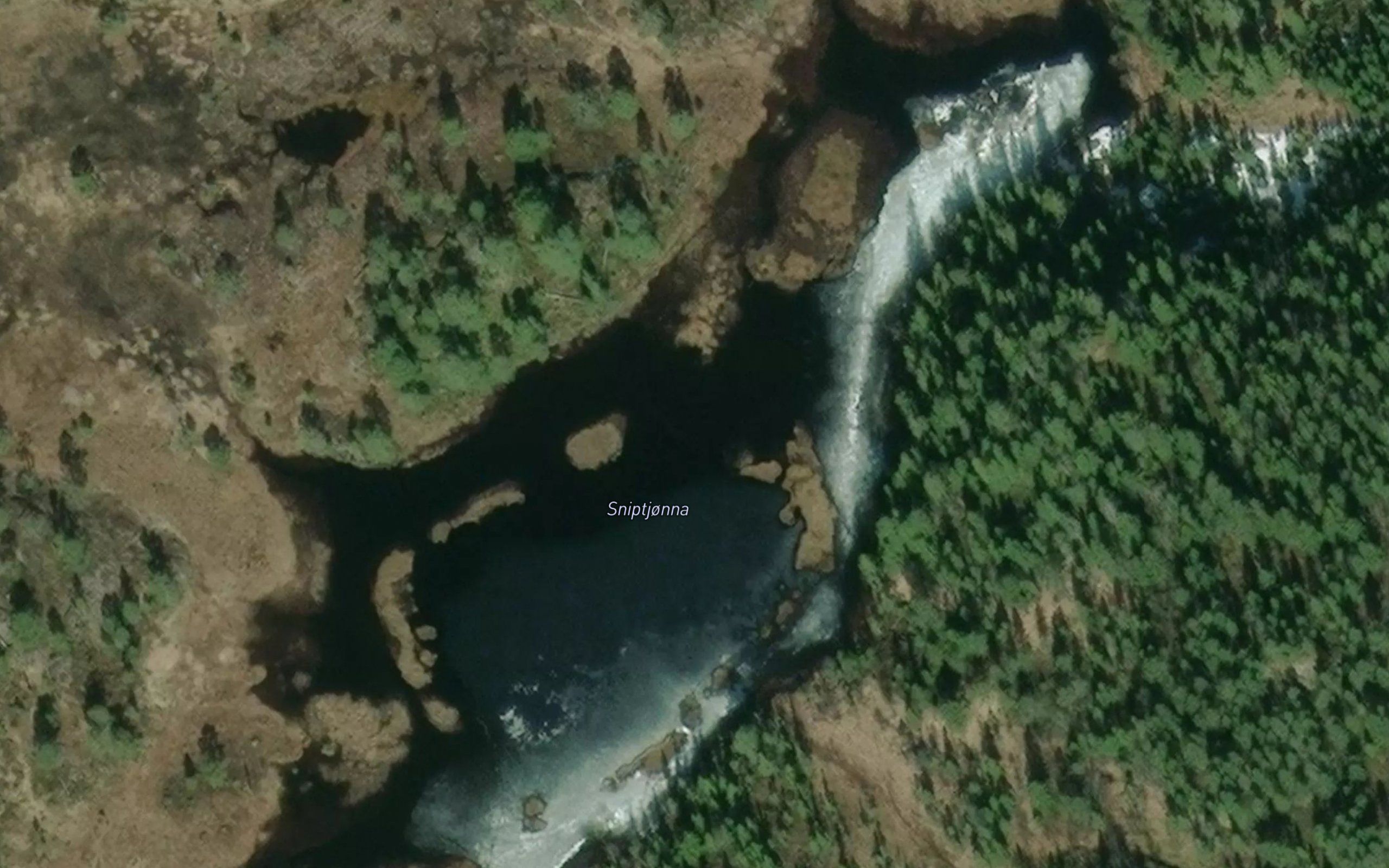 Sniptjorna