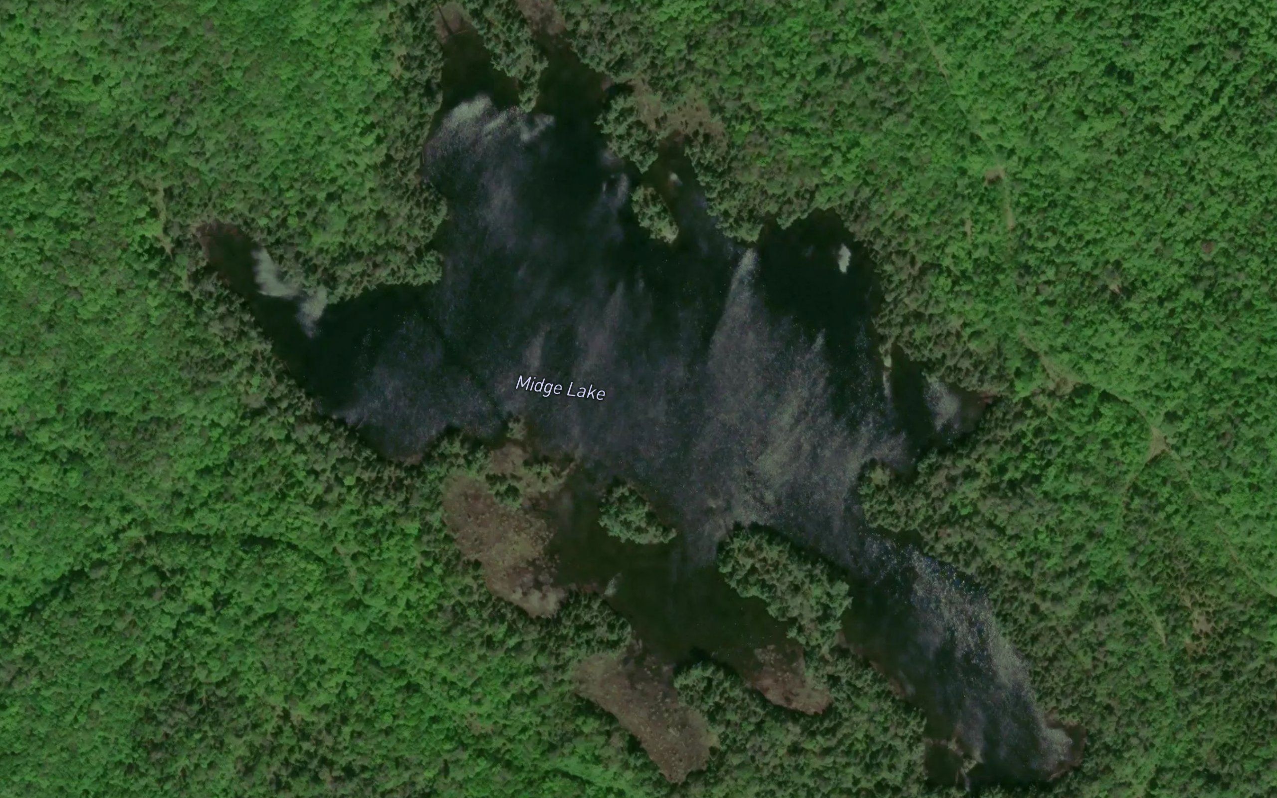 Midge Lake