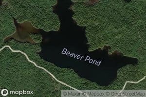 Beaver Pond
