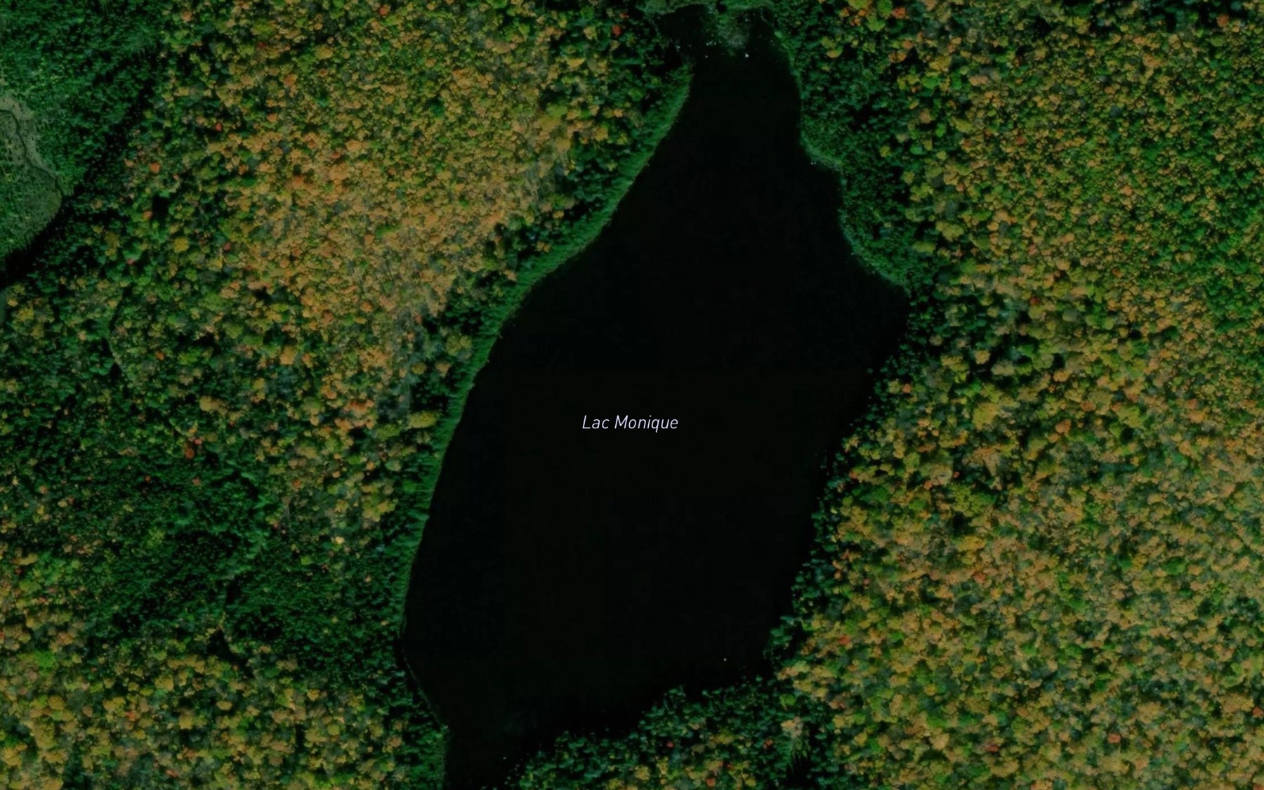 Satellite map of the Lac Monique