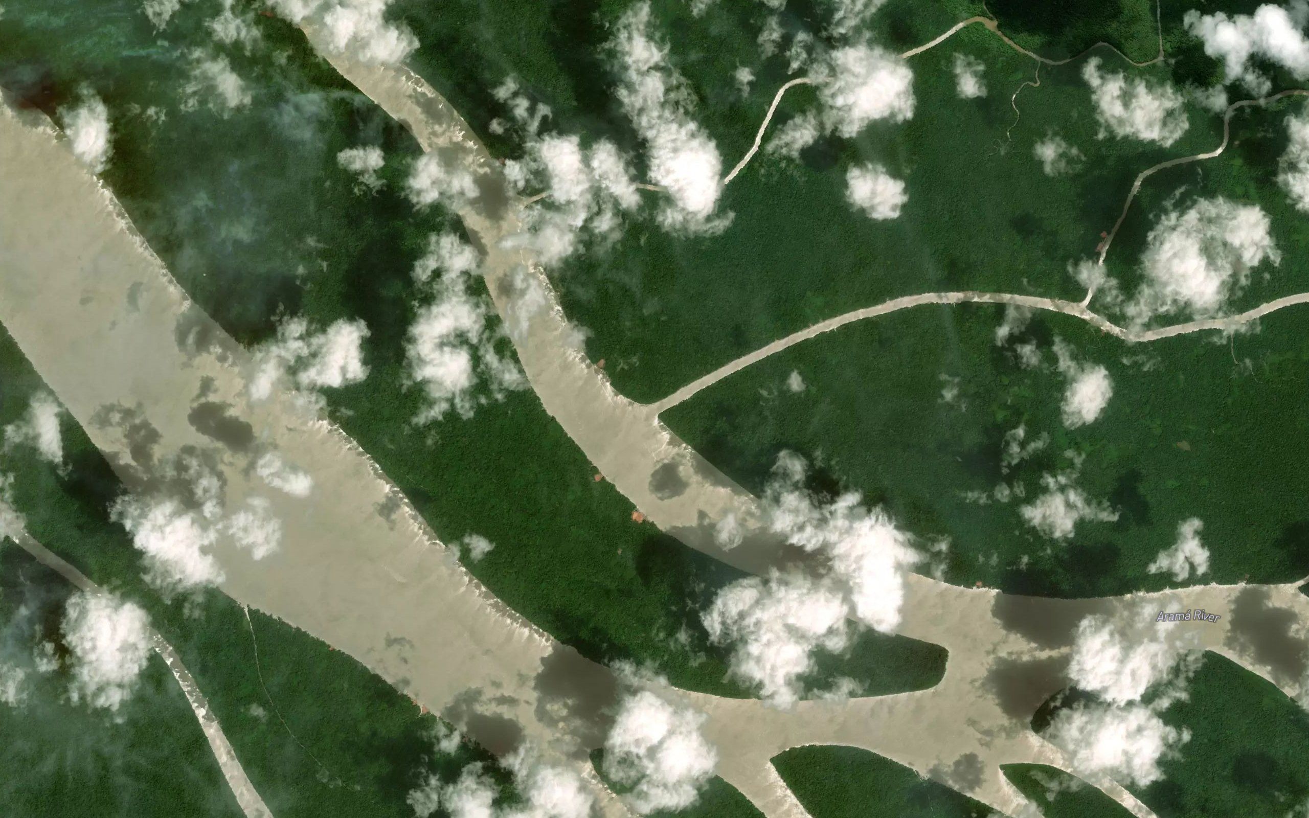 Rio Purure Grande