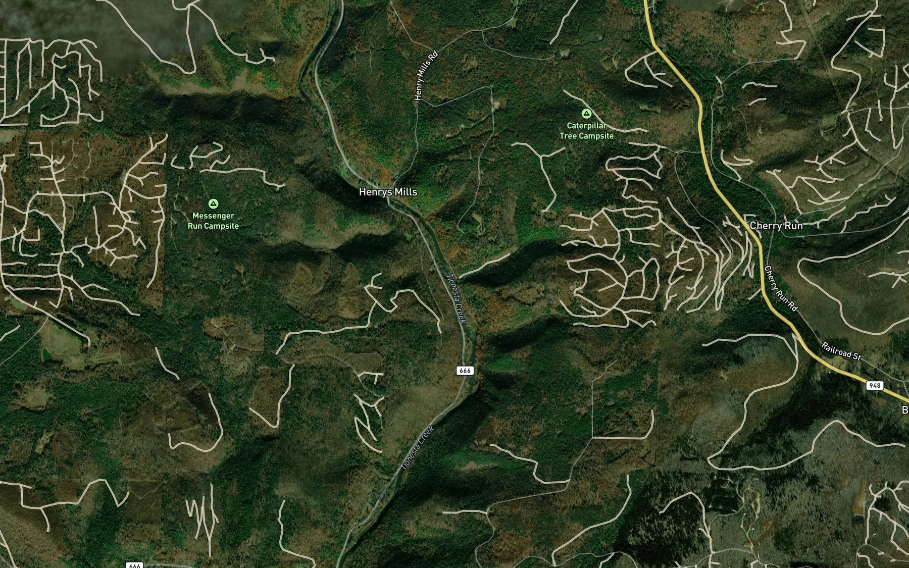 Satellite map of the Mead Run