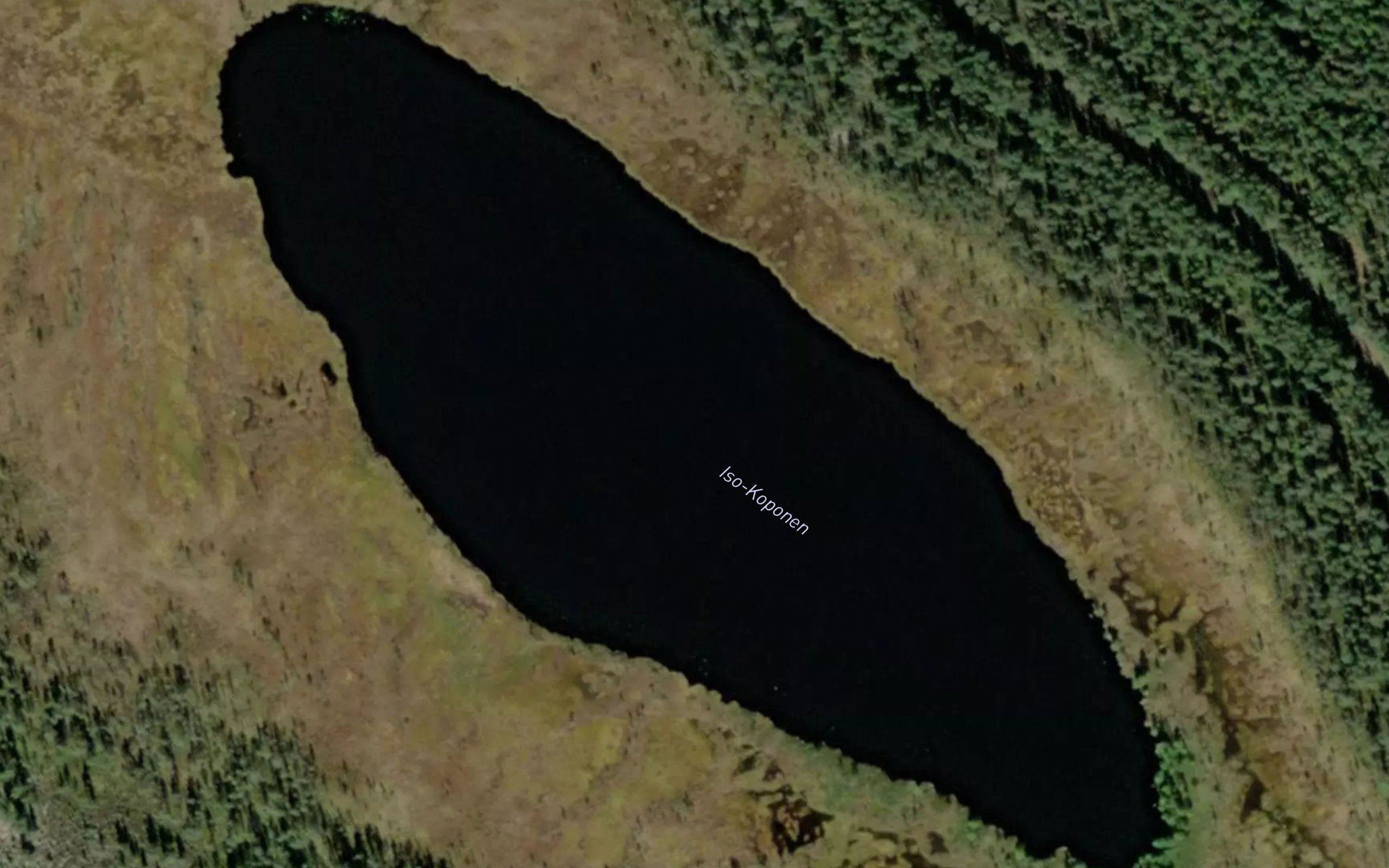 Iso-Koponen