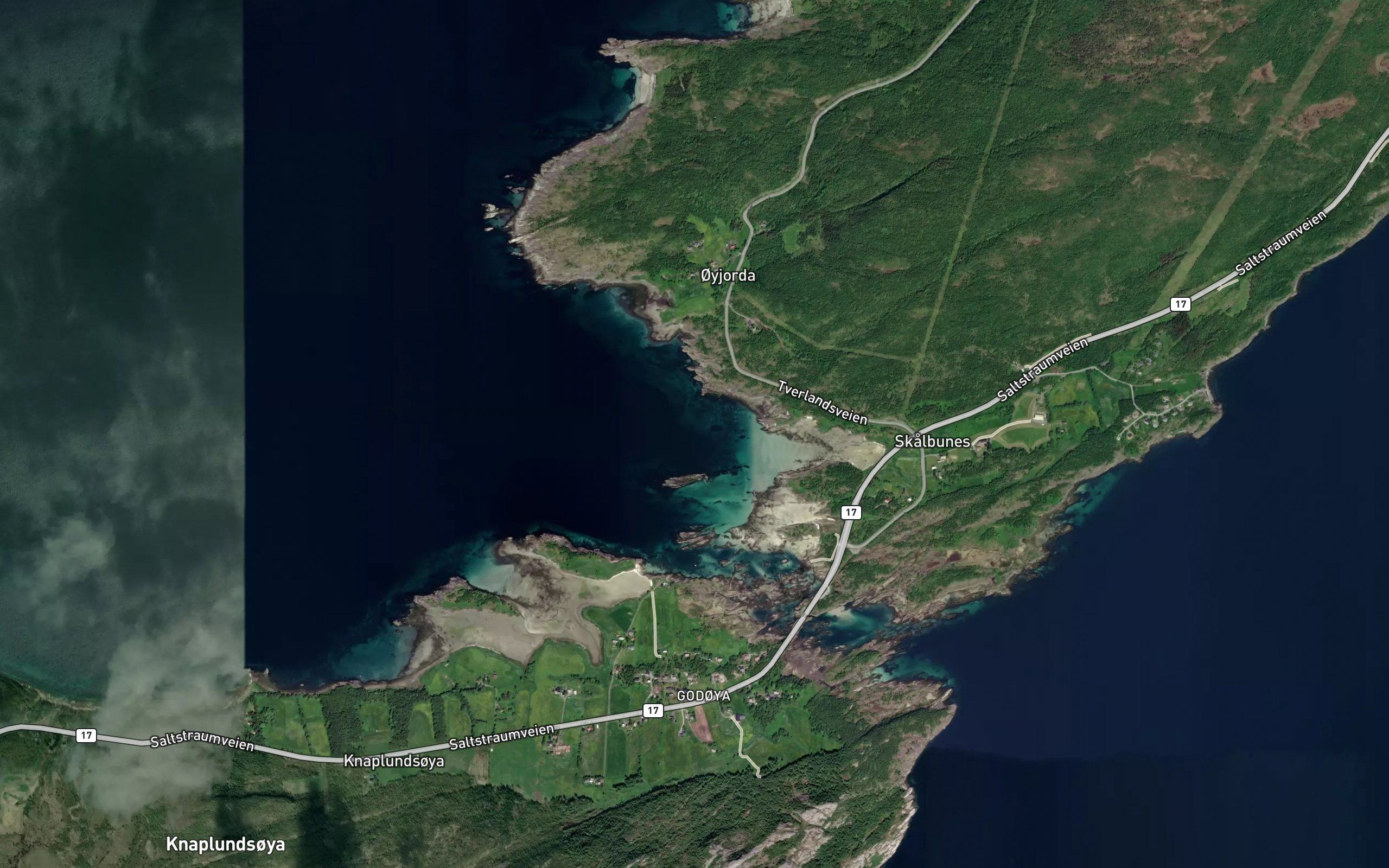 Skalbunesleira