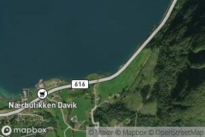 Leikvollvika