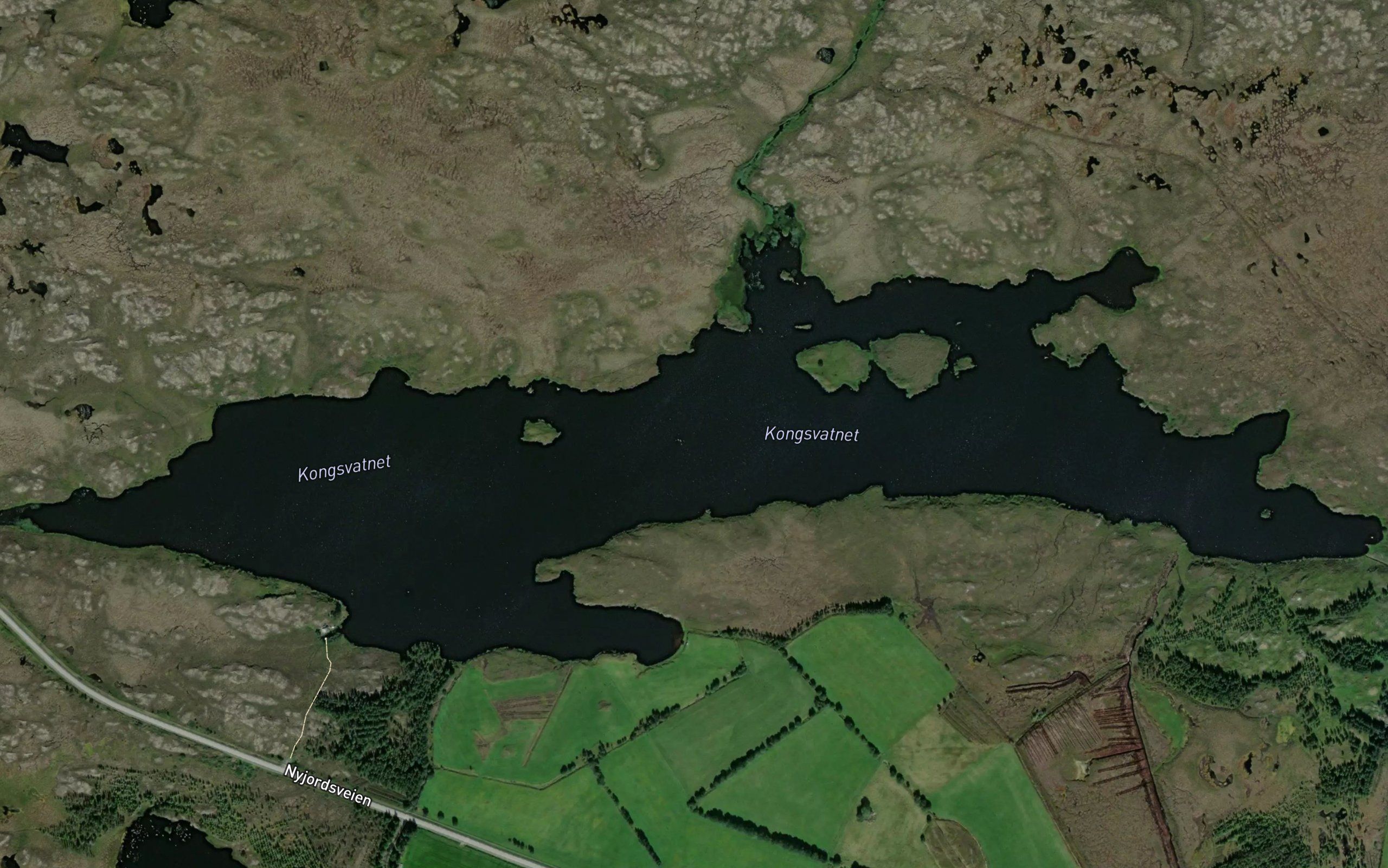 Kongsvatnet