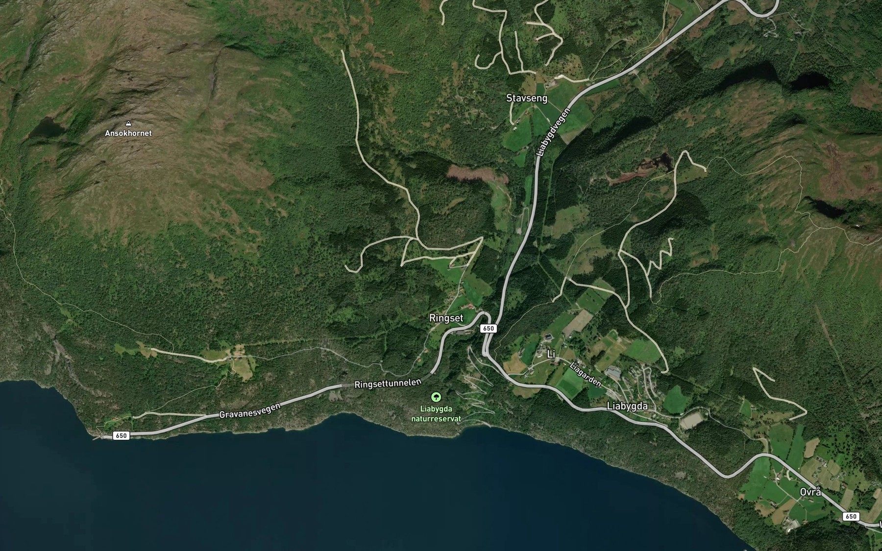 Satellite map of the Ringsetgrova